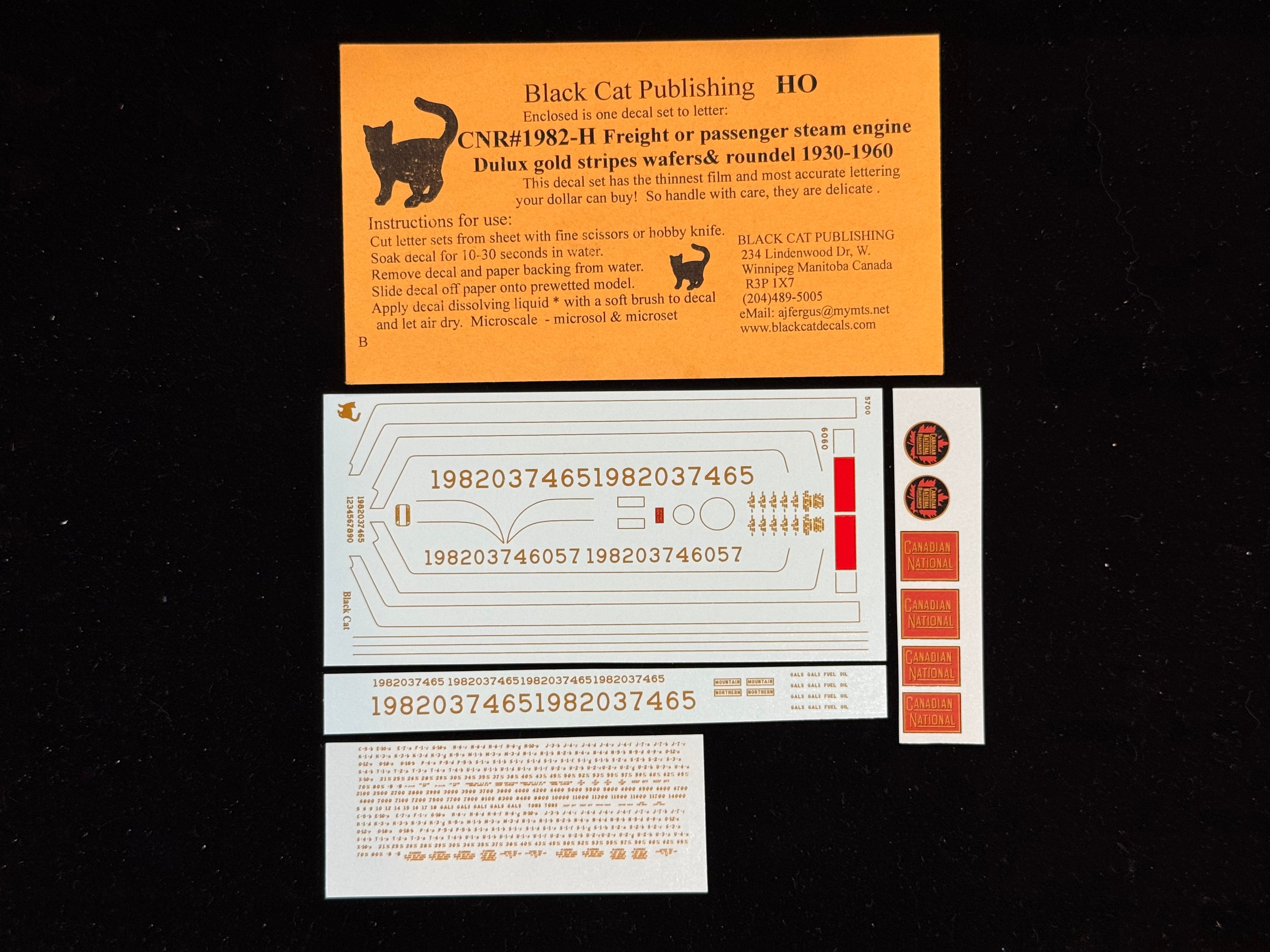 Black Cat Decals CNR1982-H HO CNR Steam Engines Freight or Passenger Dulux Gold 1930s -1961