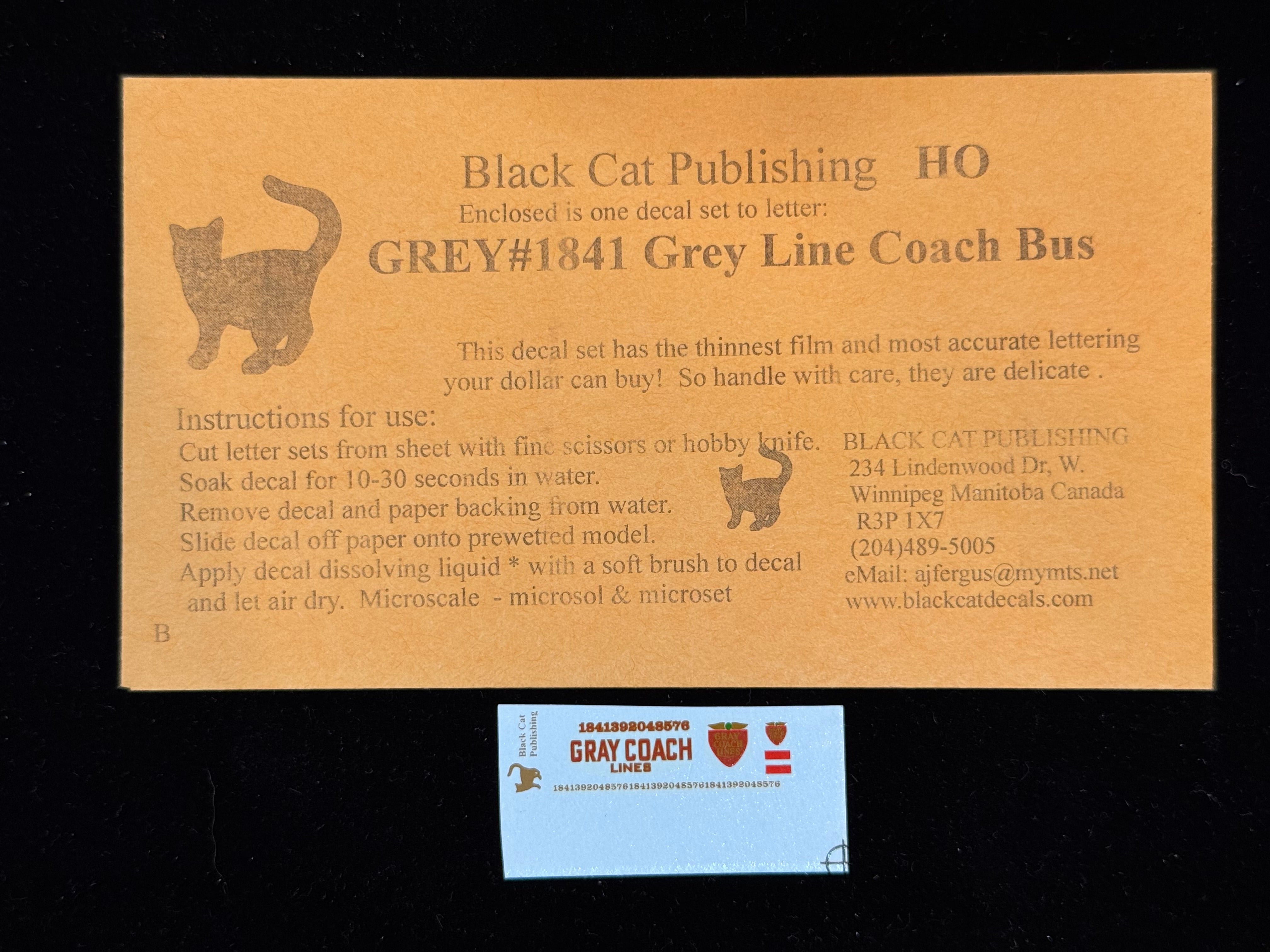 Black Cat Decals GRAY1841 HO Gray Line Coach Bus