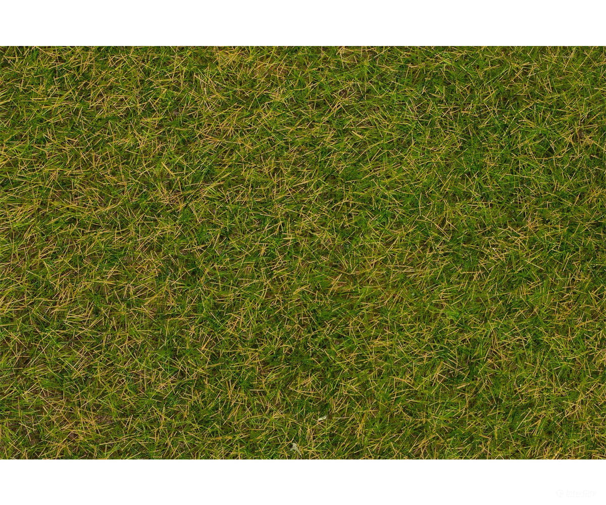 Faller 170215 HO Grass fibres Early summer meadow 4 mm 20 g - Static Grass & Applicators