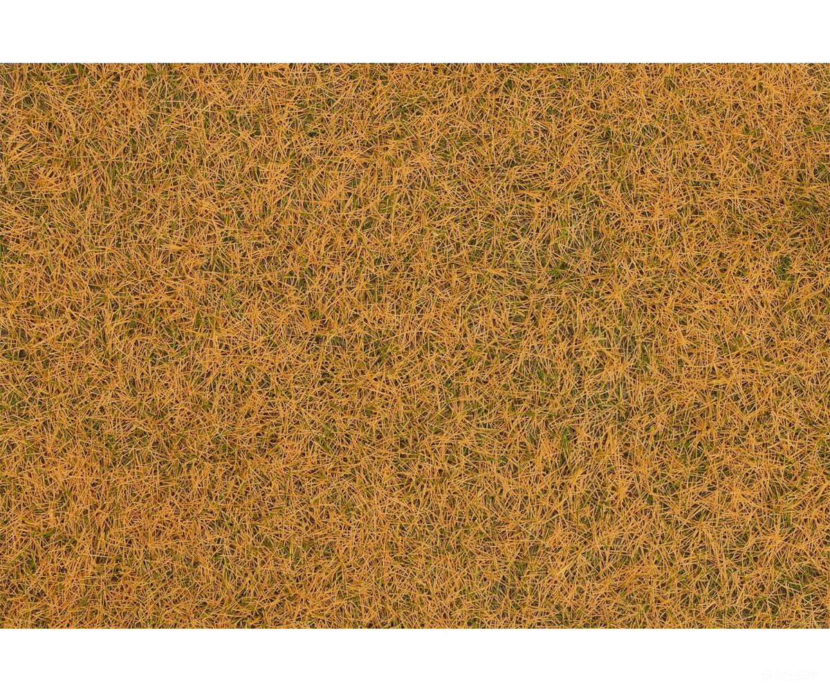Faller 170223 HO Grass fibres beige 4 mm 20 g - Static Grass & Applicators