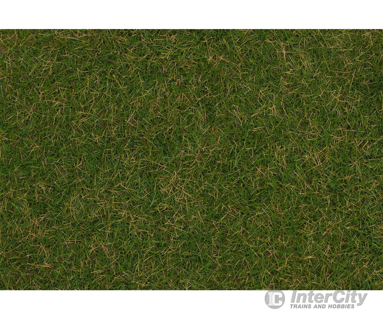 Faller 170232 H0 Tt N Wild Grass Ground Cover Fibres Summer Lawn 4 Mm 80 G Static Grass &