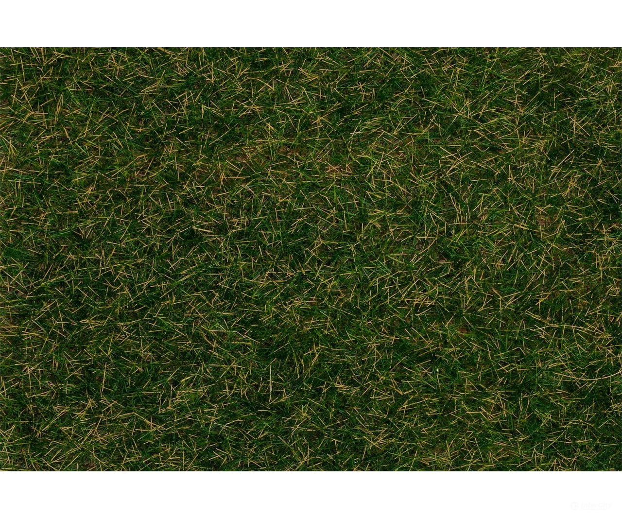 Faller 170258 Ho Tt N Wild Grass Ground Cover Fibres Dark Green 4 Mm 1 Kg Static Grass & Applicators