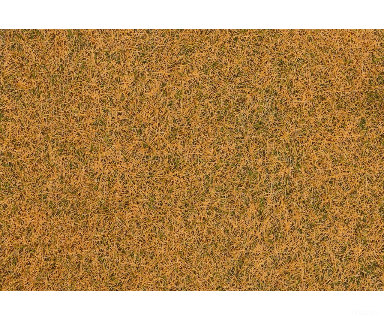 Faller 170260 Ho Tt N Wild Grass Ground Cover Fibres Withered 4 Mm 1 Kg Static Grass & Applicators