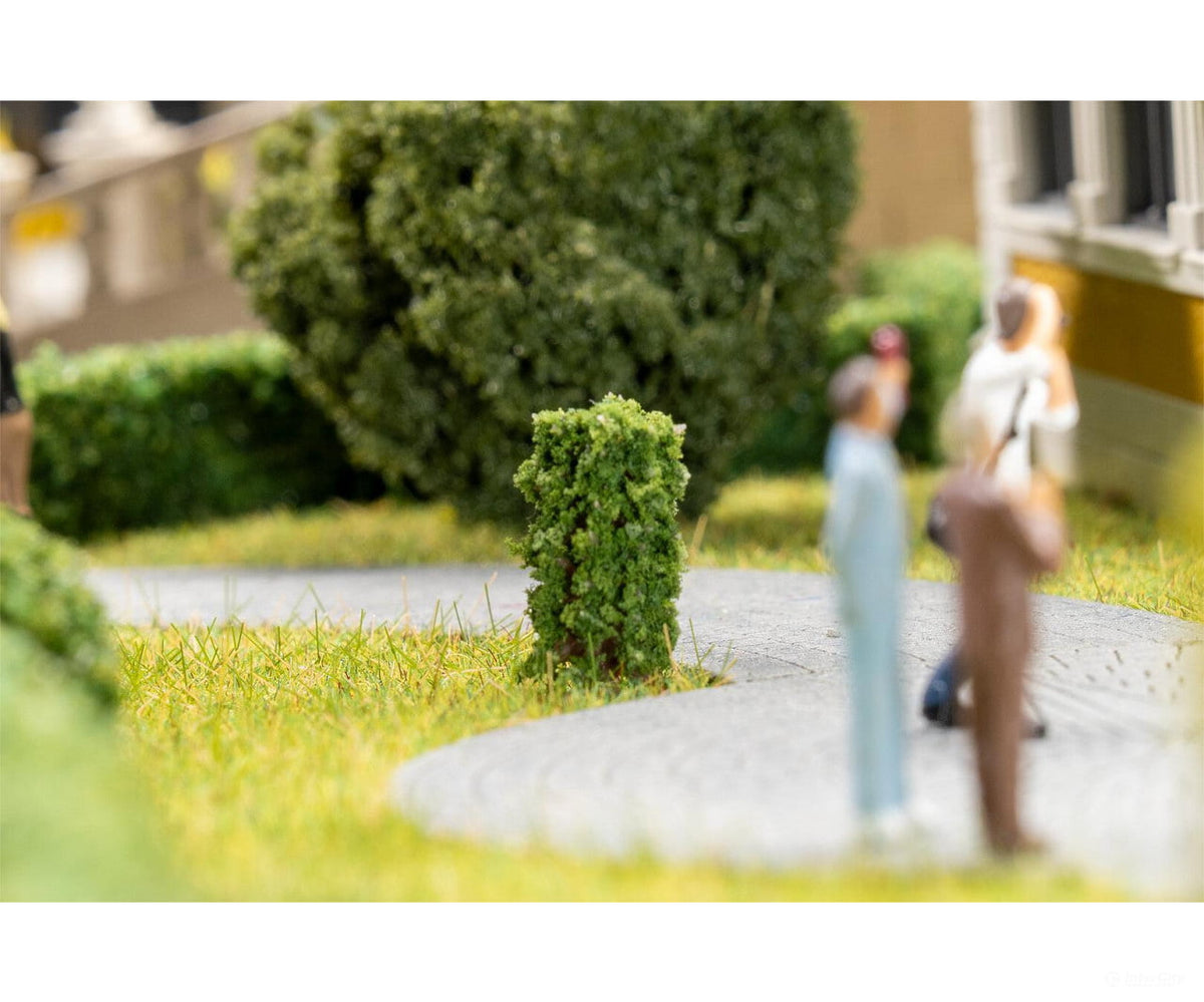 Faller 181592 HO 10 Front garden trees thuja columnar - Trees & Vegetation
