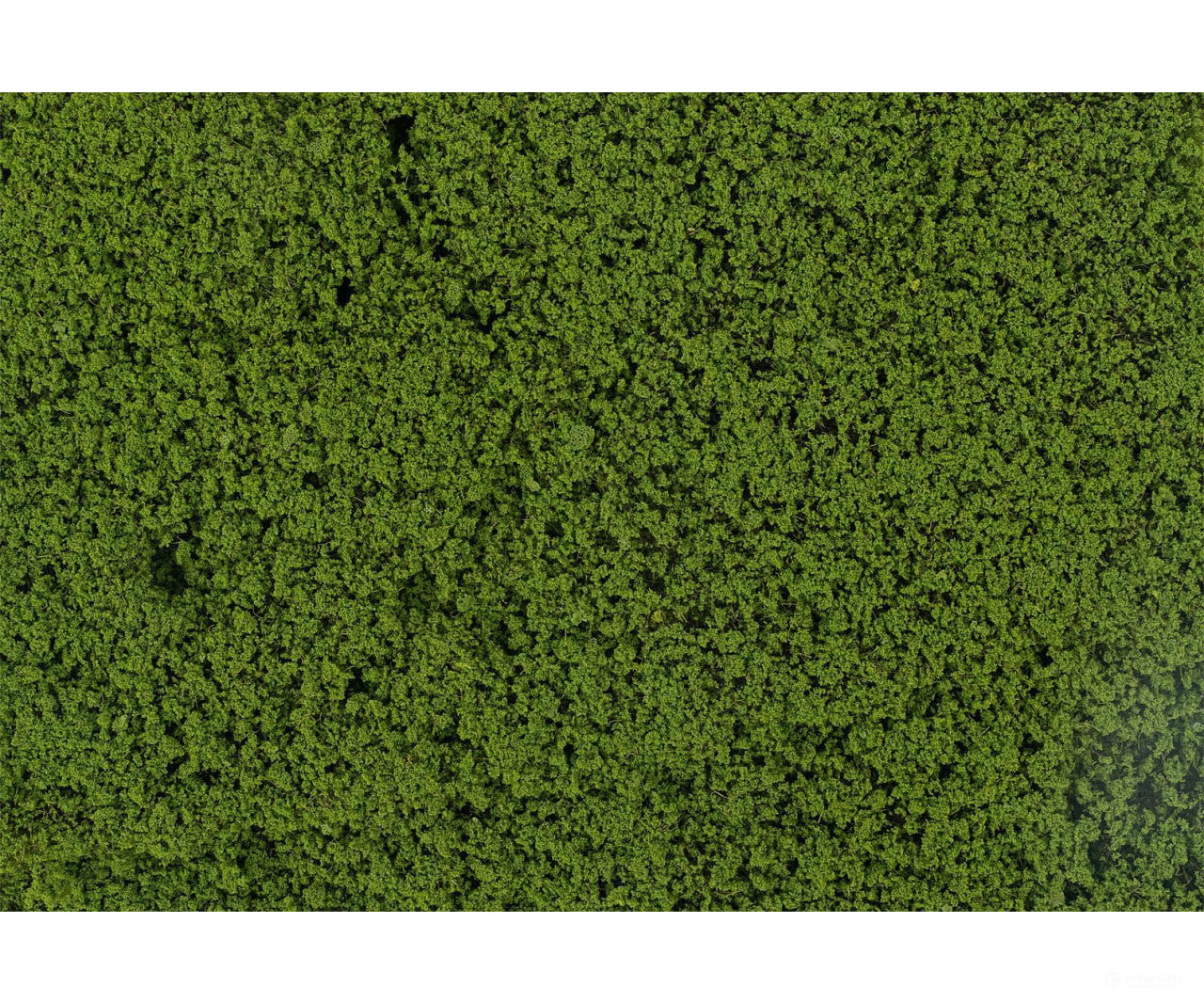 Faller 181622 HO Leaf foliage green - Trees & Vegetation