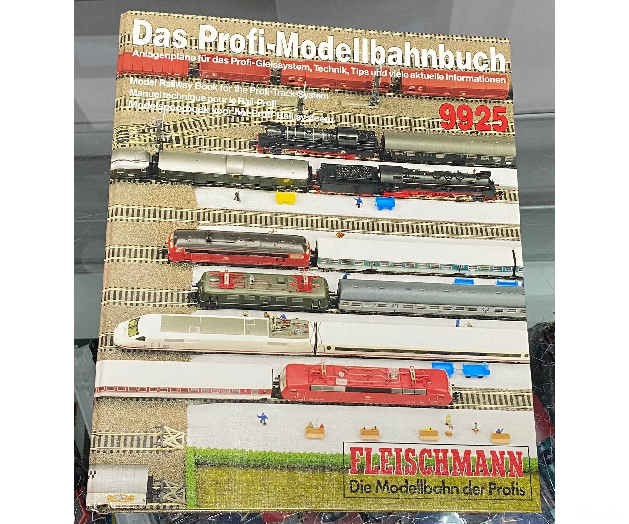 Fleischmann 9925 Das-profi-Modellbahnbuch - English Books
