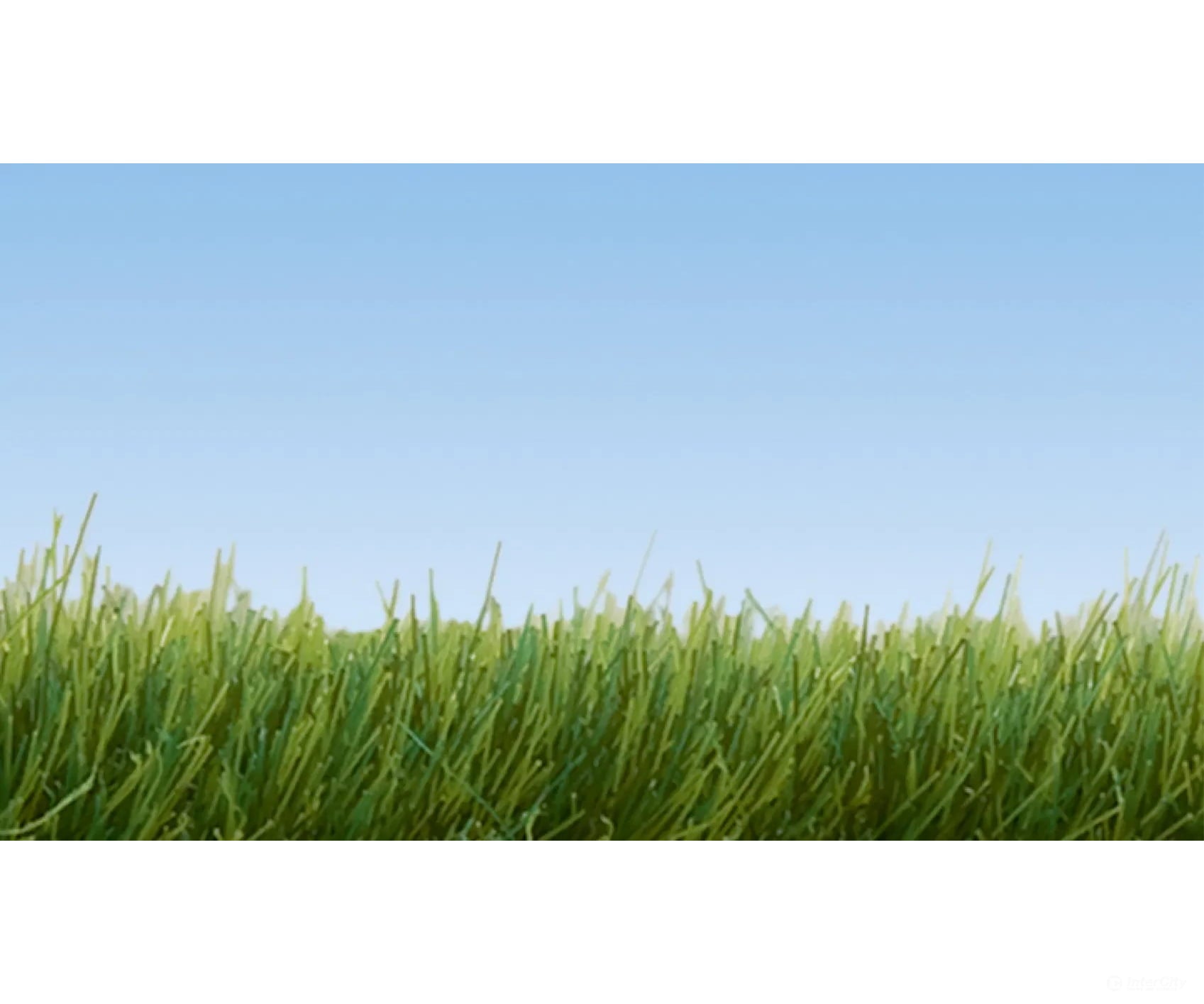 Noch 07091 HO N Z Wild Grass Beige 6 mm Static Grass & Applicators