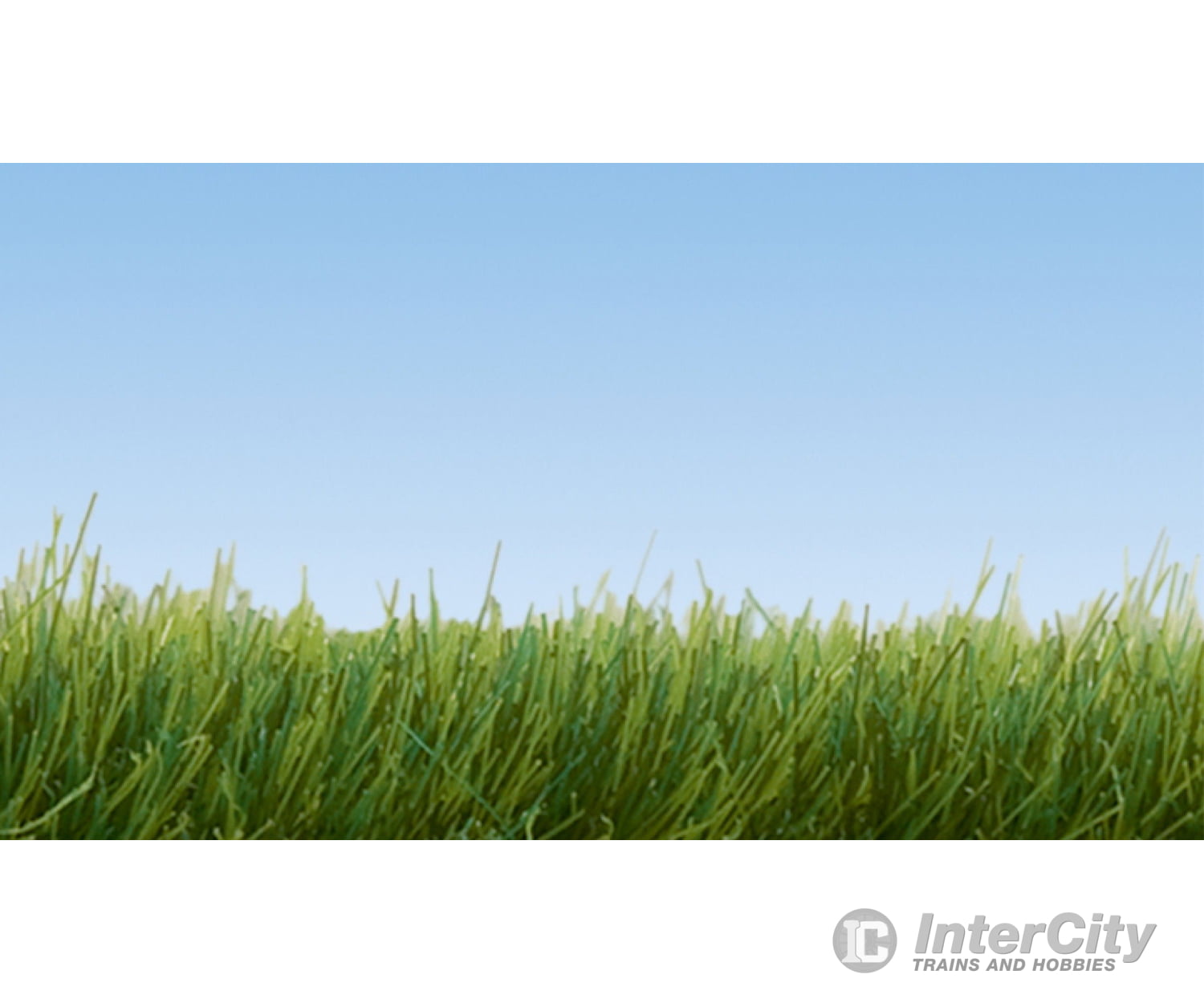 Noch 07094 Wild Grass dark green 6 mm Static Grass & Applicators