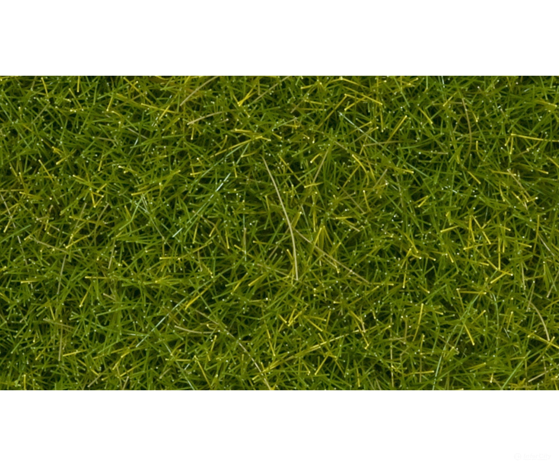 Noch 07112 Wild Grass XL Light Green 12 mm Static Grass & Applicators