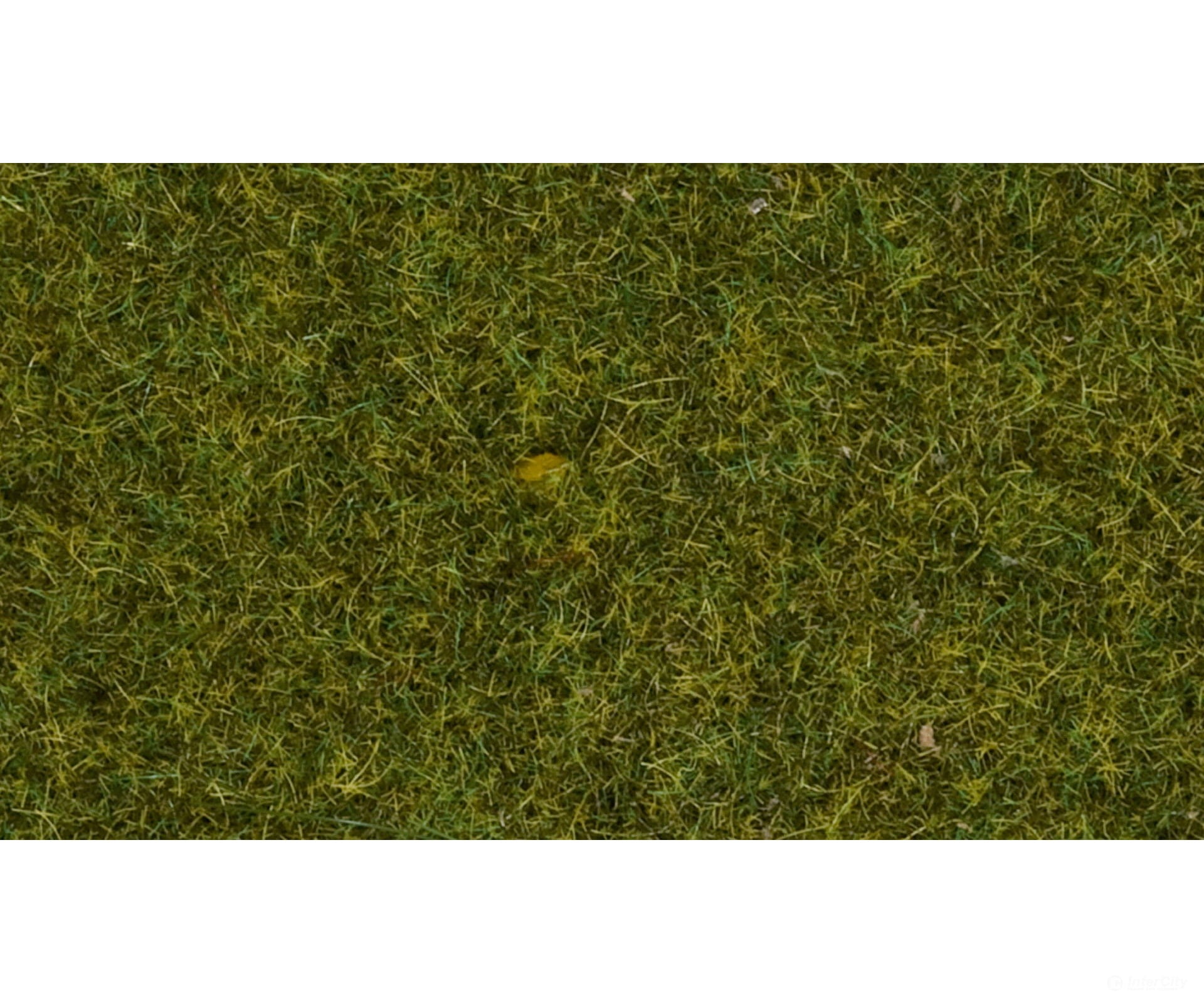 Noch 07117 HO TT O Wild Grass ’Meadow’ Static Grass & Applicators