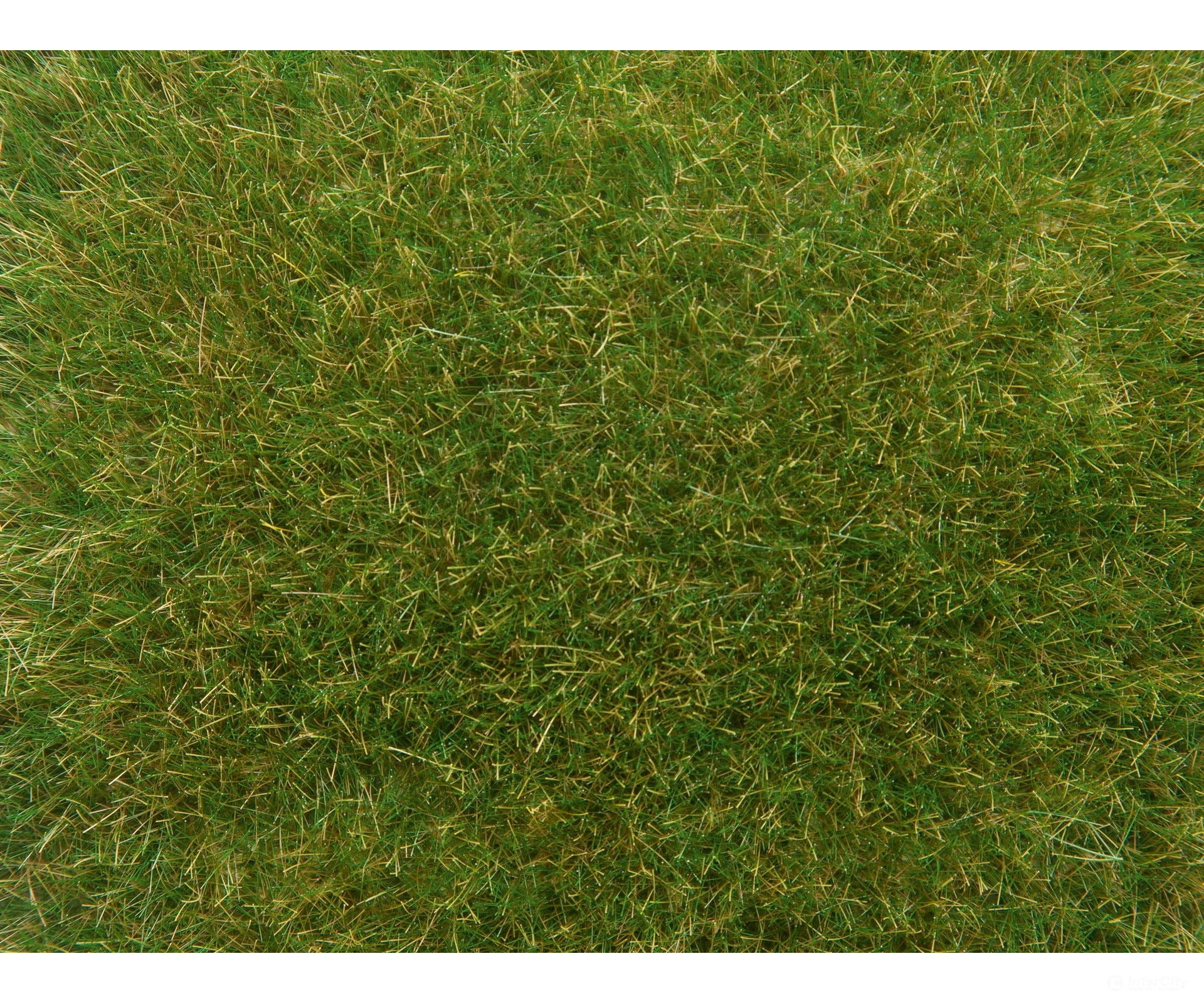 Noch 07118 HO TT O Wild Grass Medium Green Static Grass & Applicators