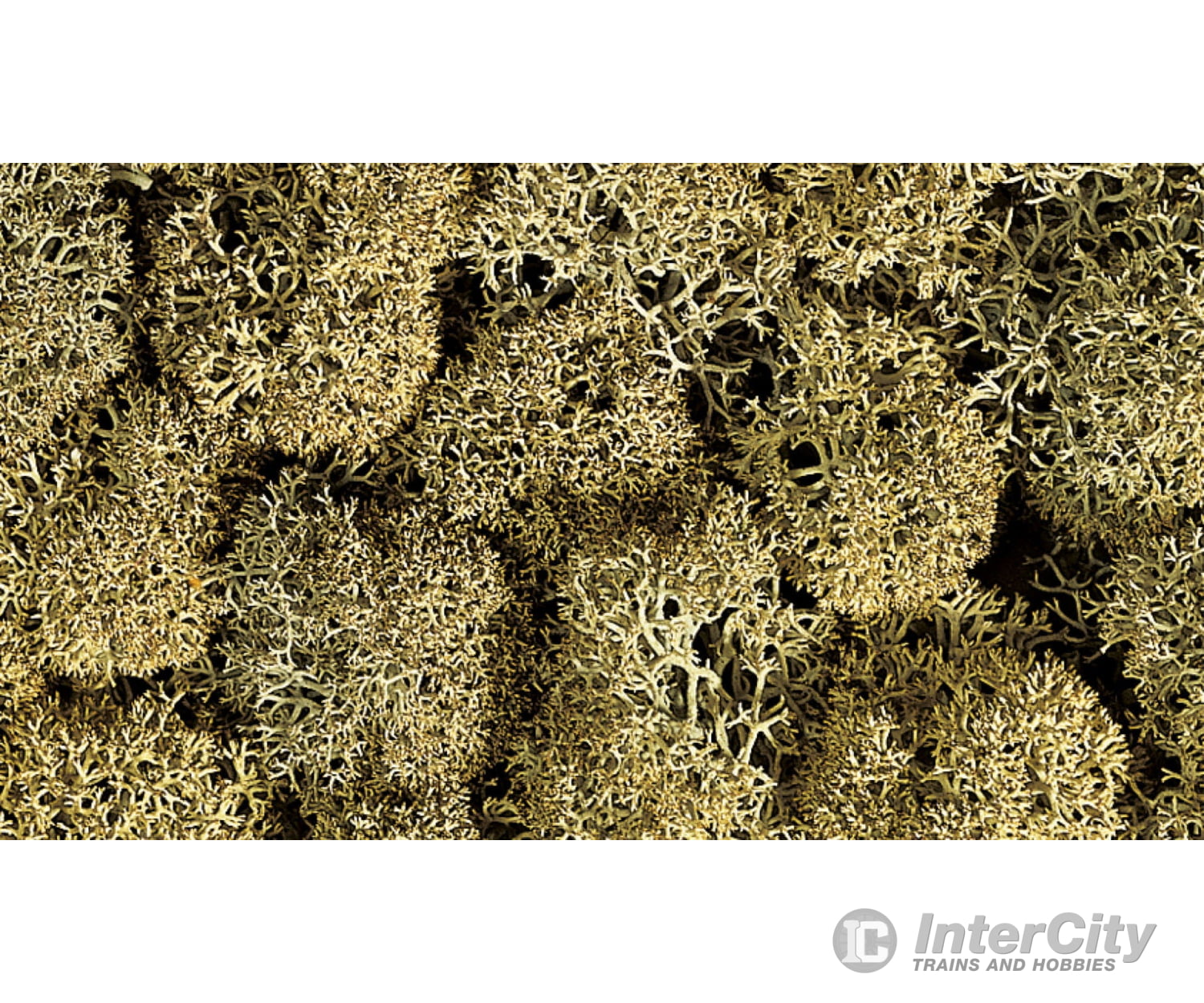 Noch 08600 Lichen stone grey Trees & Vegetation