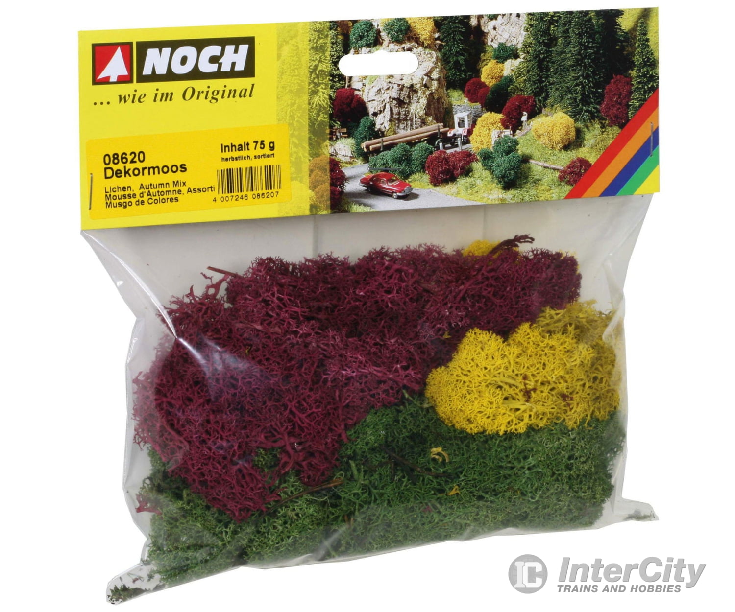 Noch 08620 Lichen Trees & Vegetation