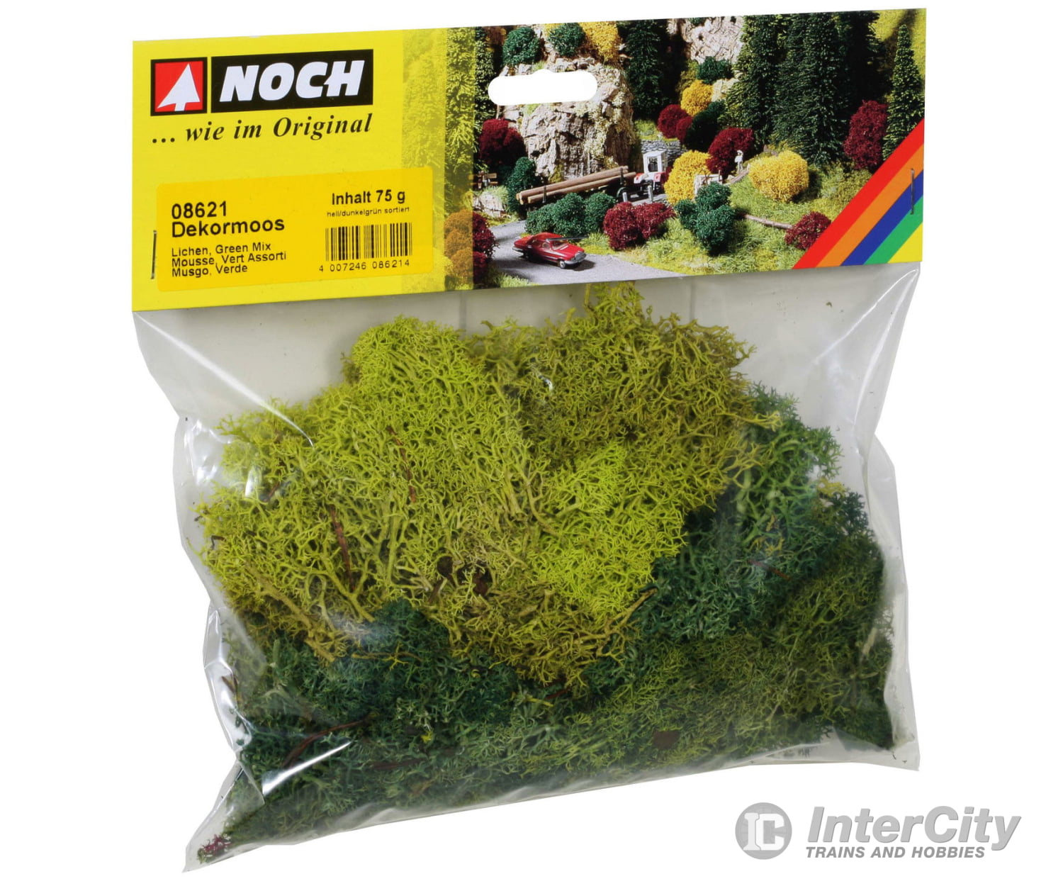 Noch 08621 Lichen Trees & Vegetation