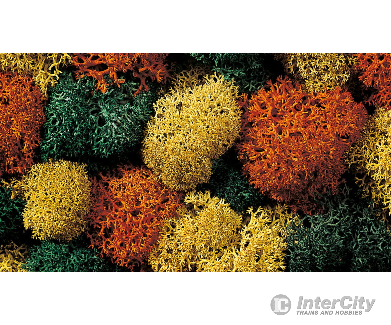 Noch 08630 Lichen Trees & Vegetation