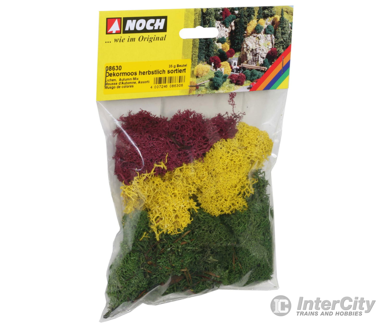 Noch 08630 Lichen Trees & Vegetation