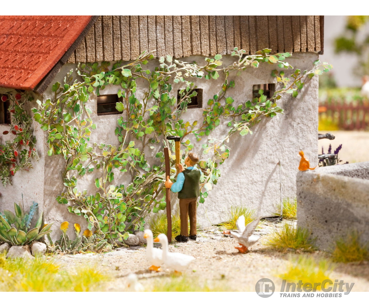 Noch 14132 HO Virginia Creeper Trees & Vegetation