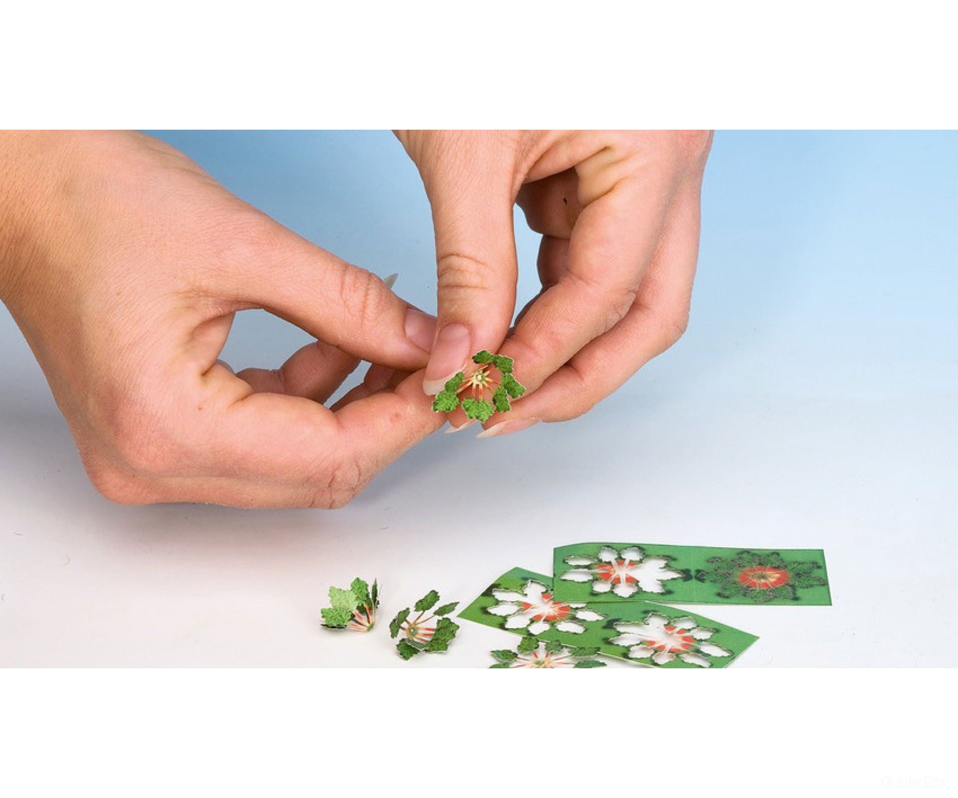 Noch 14132 HO Virginia Creeper Trees & Vegetation