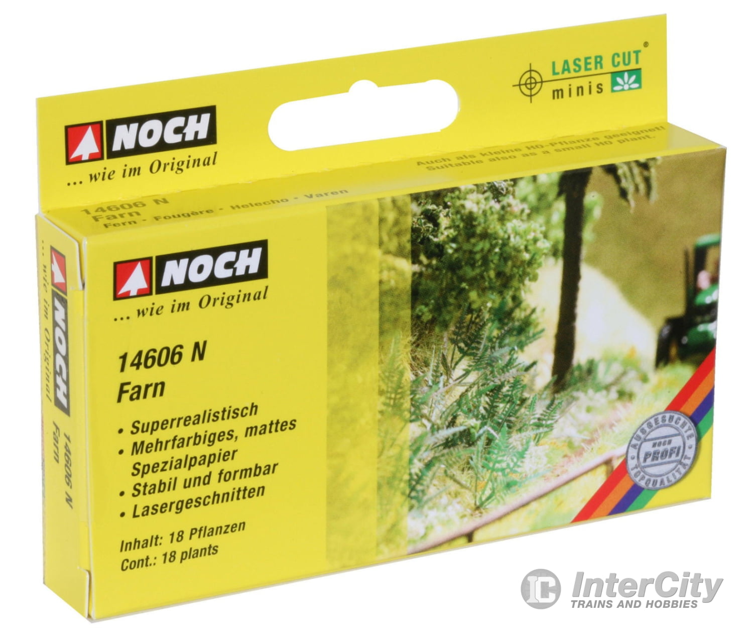Noch 14606 N Fern Scenery Details