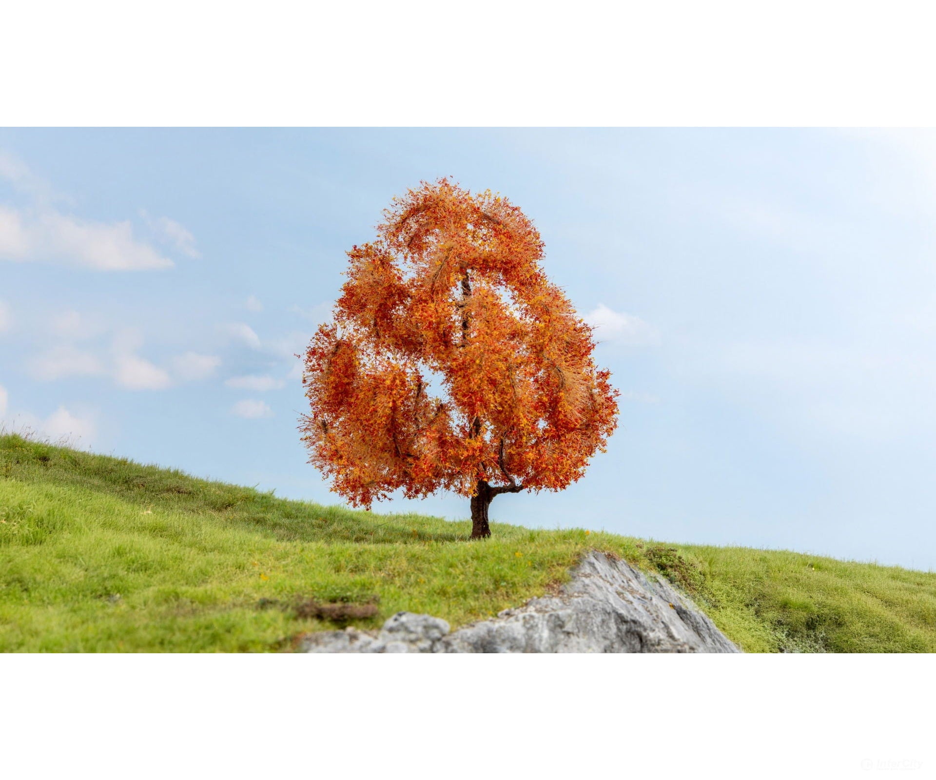 Noch 20155 HO N Maple Tree Autumn Trees & Vegetation
