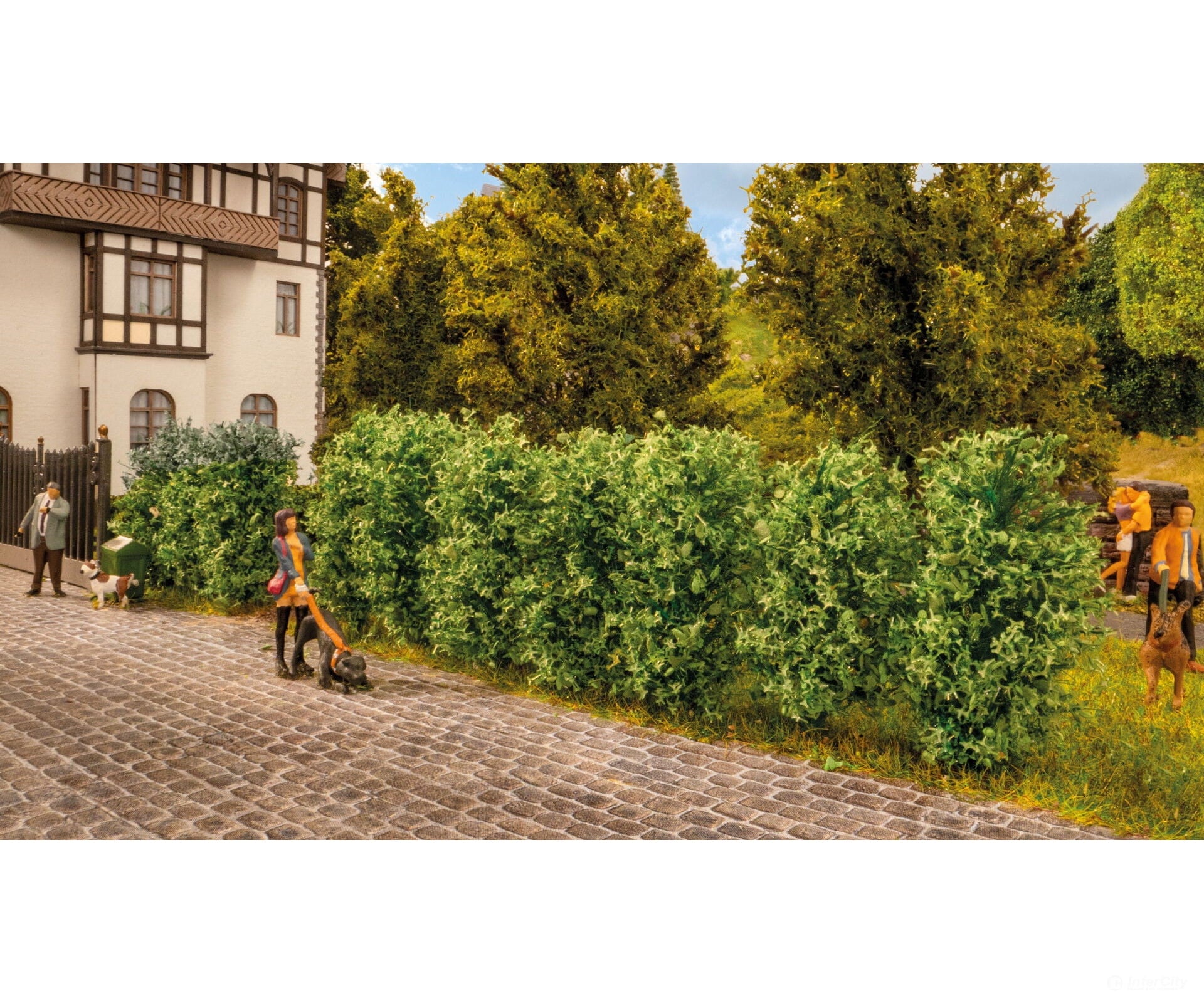 Noch 21547 HO TT N Thuja Hedge Trees & Vegetation