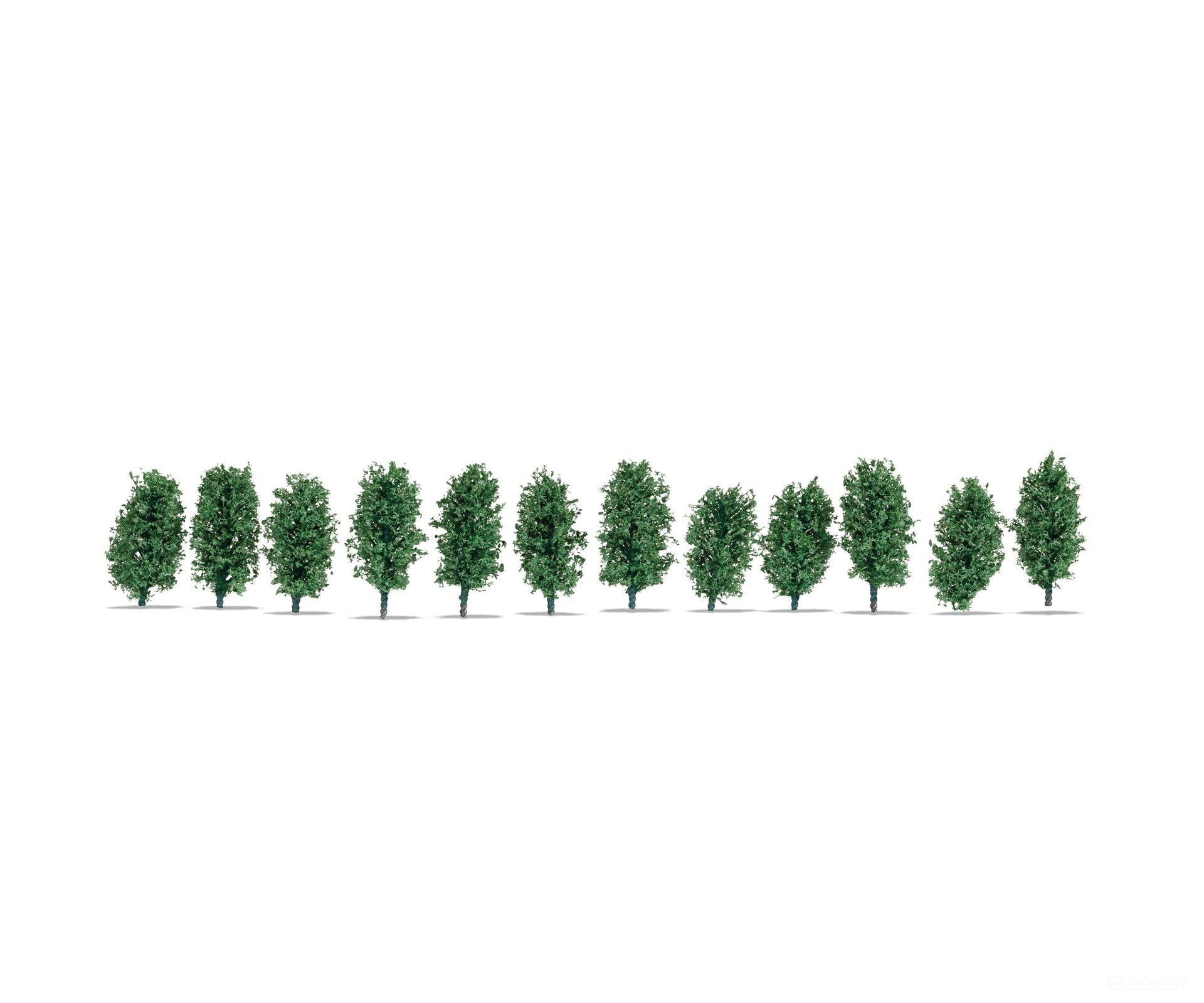 Noch 21547 HO TT N Thuja Hedge Trees & Vegetation