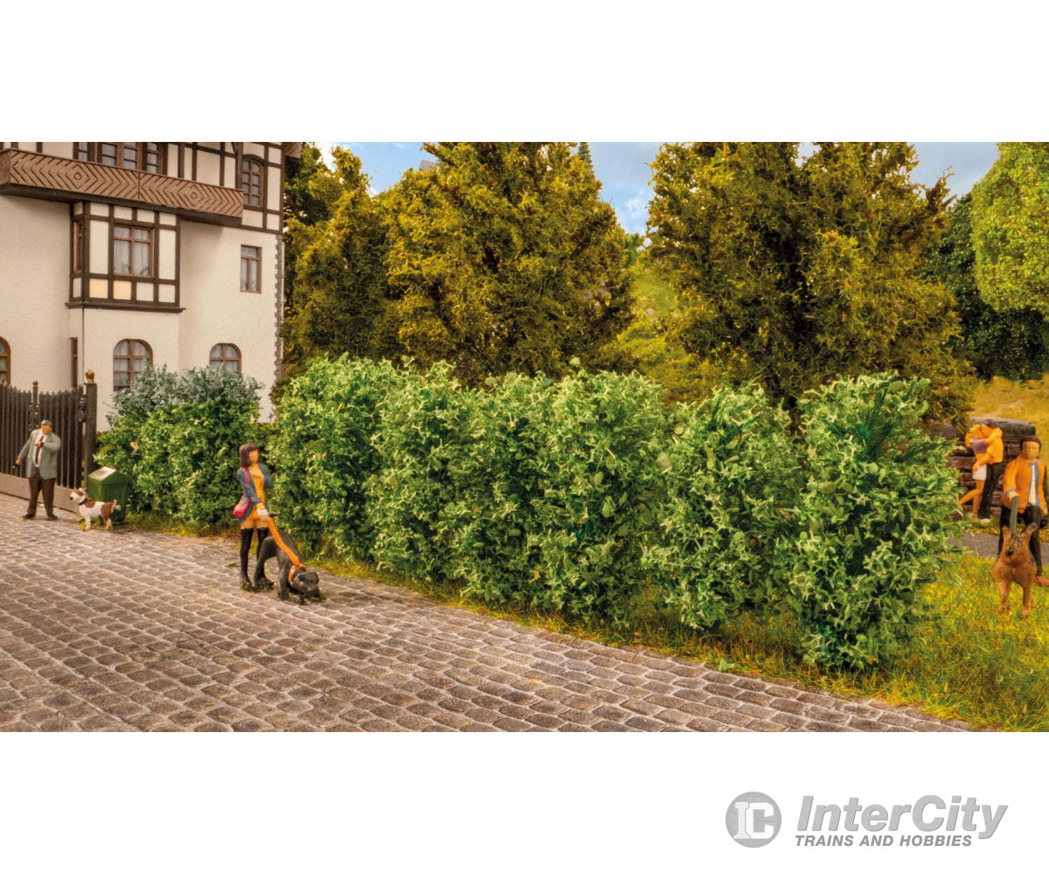 Noch 21547 HO TT N Thuja Hedge Trees & Vegetation