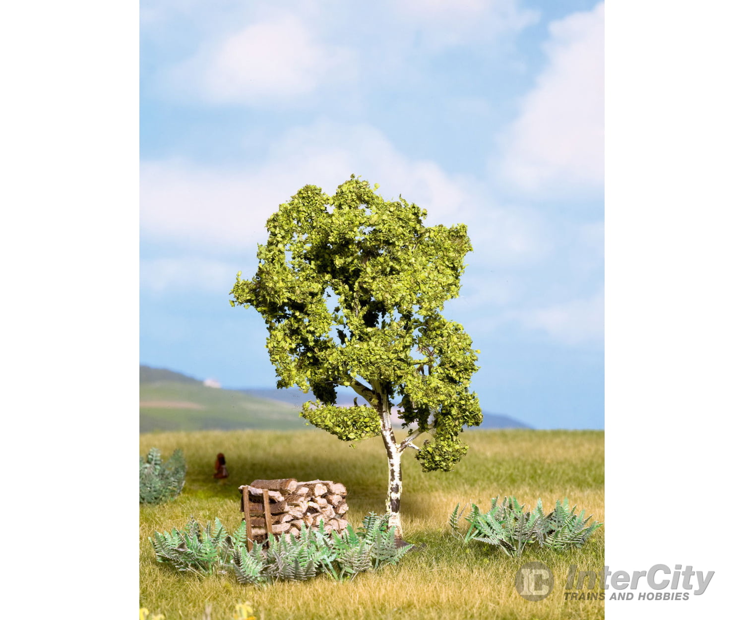 Noch 21640 HO TT N Birch Trees & Vegetation