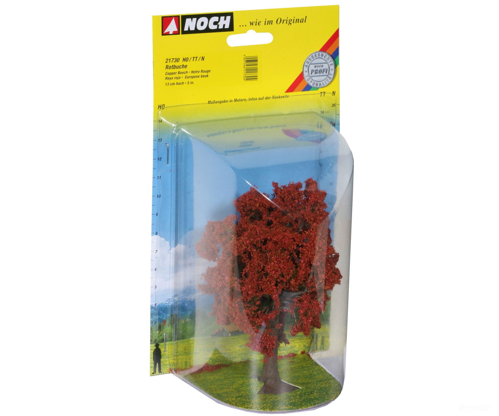 Noch 21730 HO TT N Copper Beech Trees & Vegetation