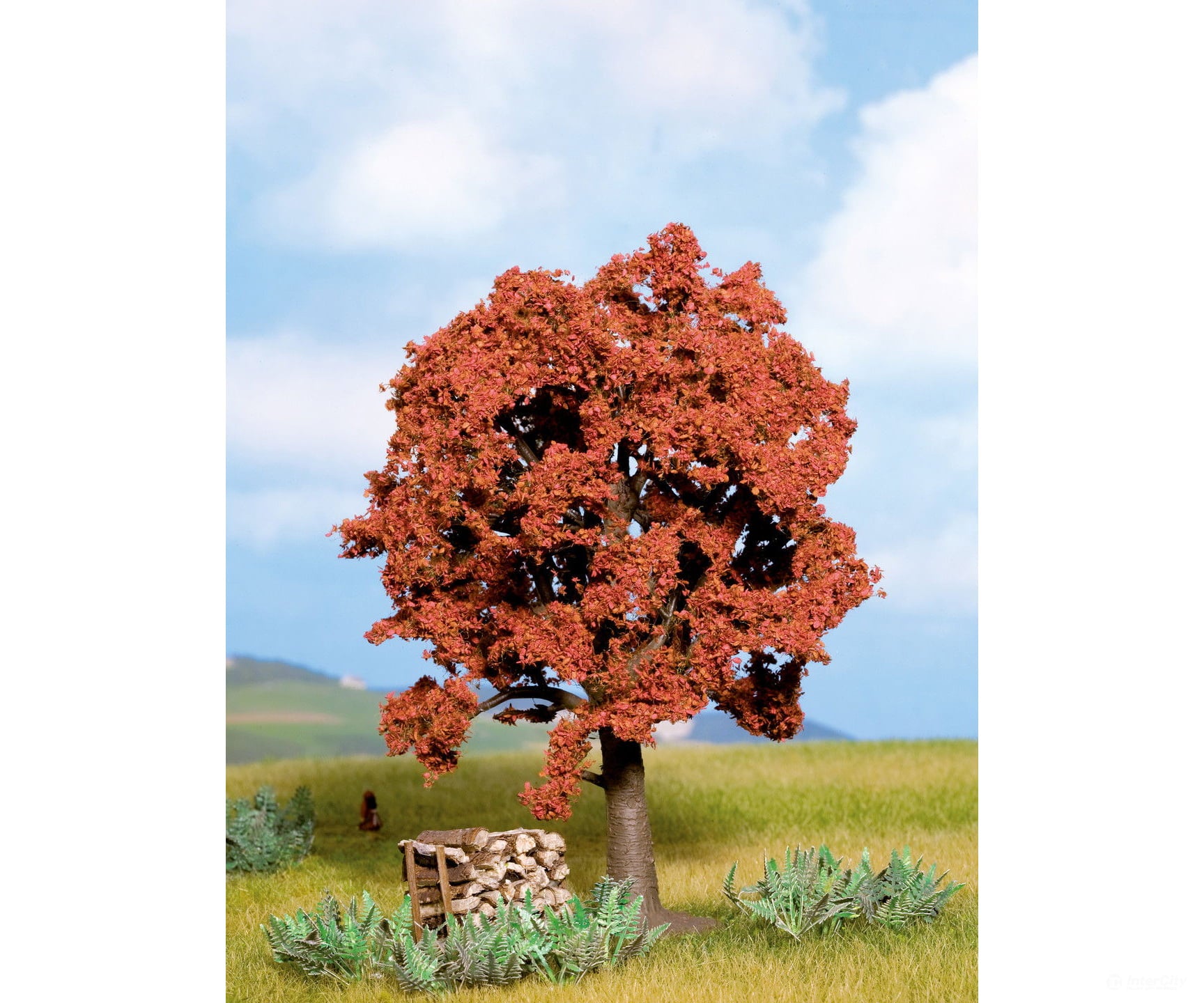 Noch 21730 HO TT N Copper Beech Trees & Vegetation