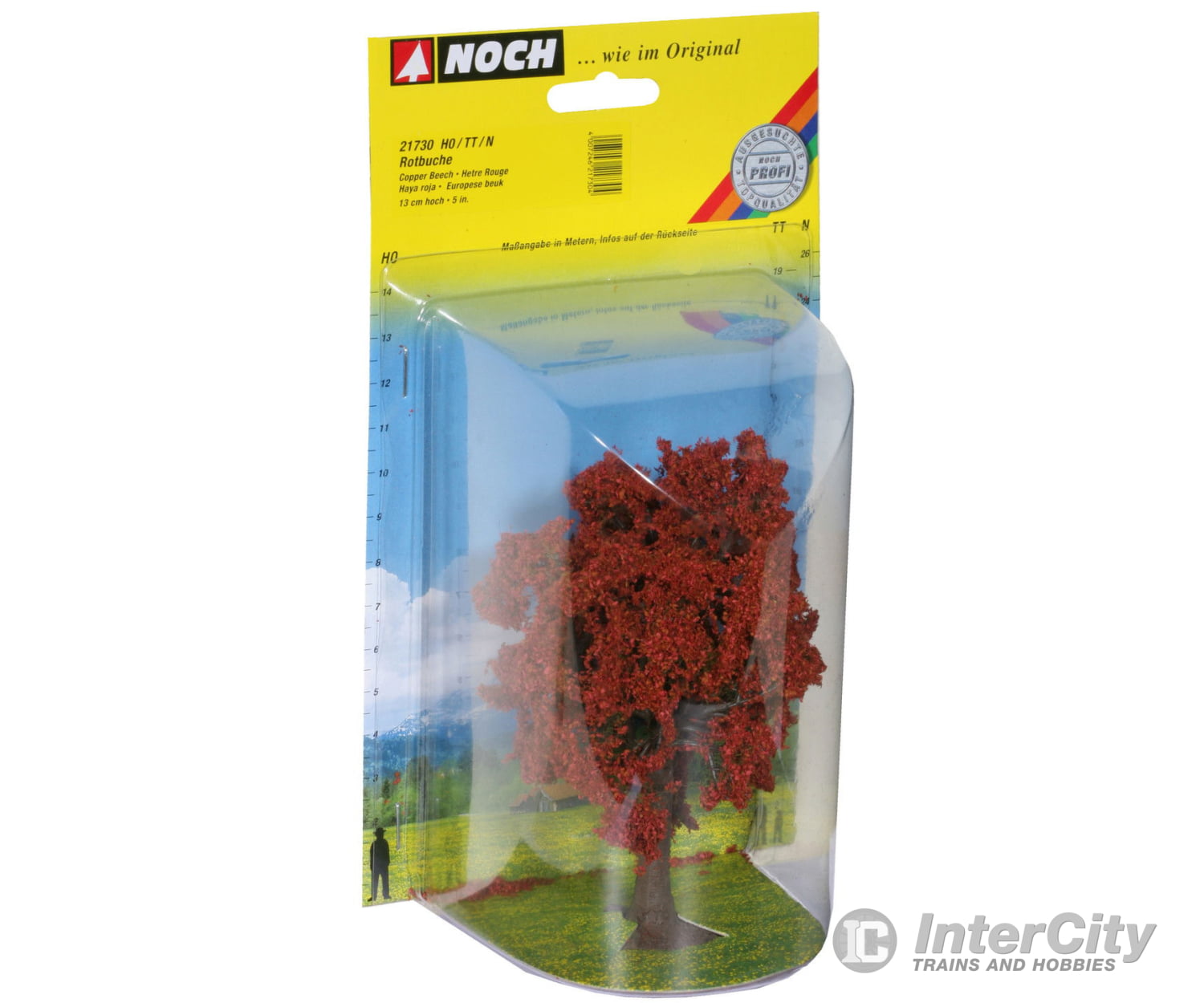 Noch 21730 HO TT N Copper Beech Trees & Vegetation