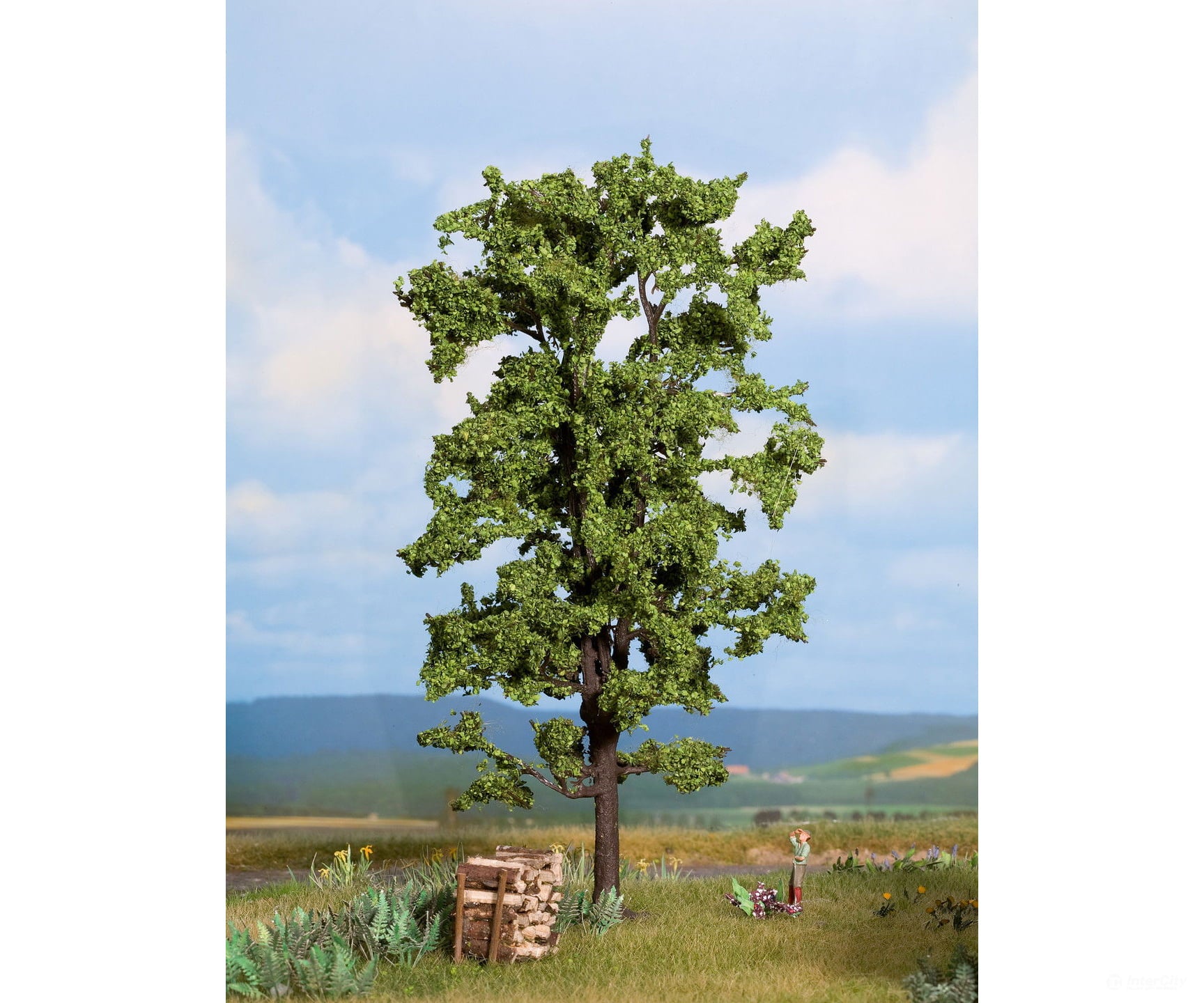 Noch 21780 HO TT N O Lime Tree Trees & Vegetation