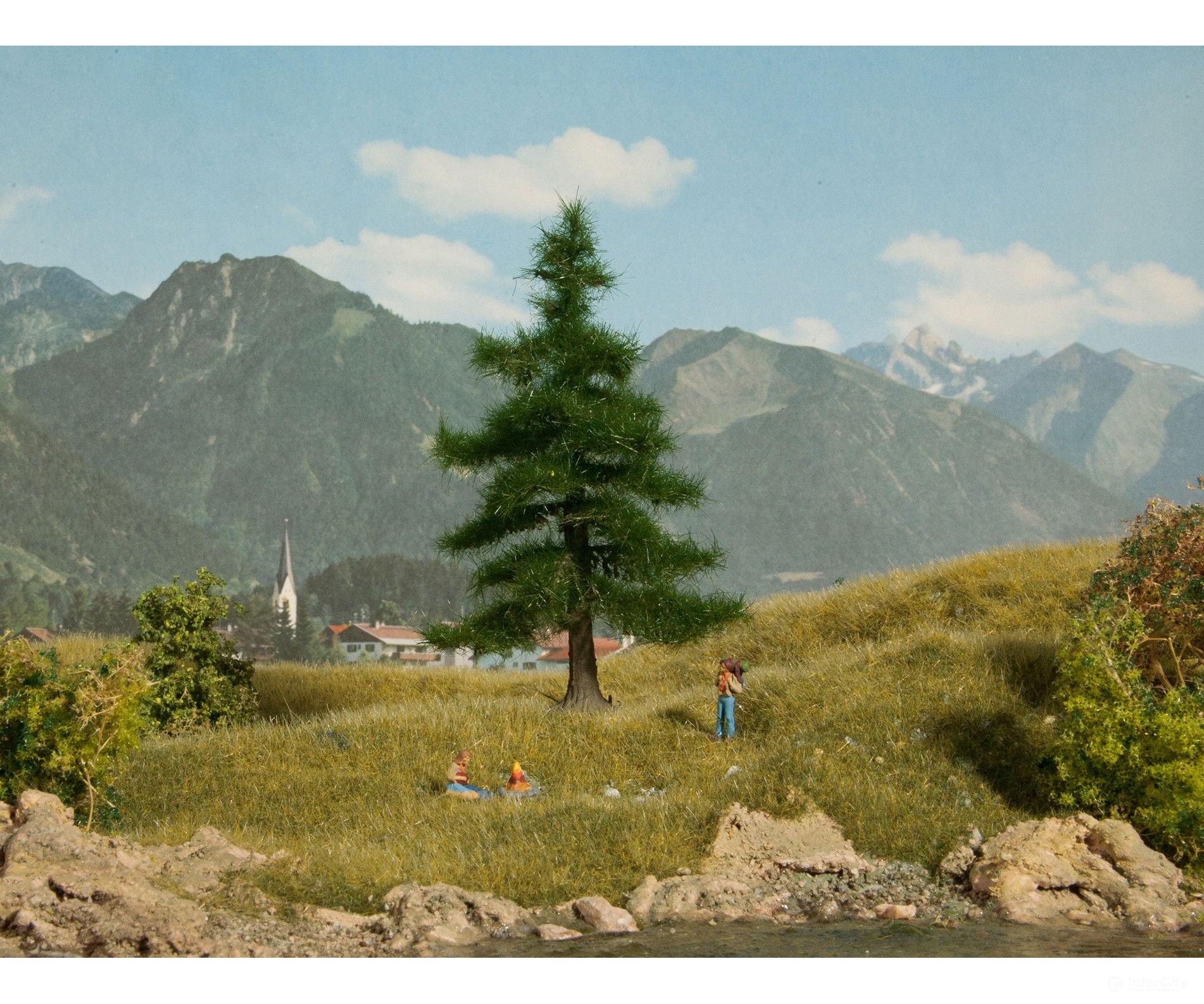 Noch 21810 HO TT N Nordmann Fir Tree Trees & Vegetation