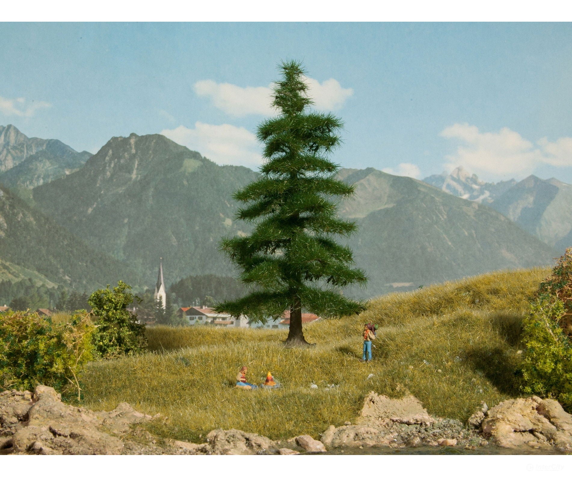 Noch 21811 HO N Nordmann Fir Tree Trees & Vegetation