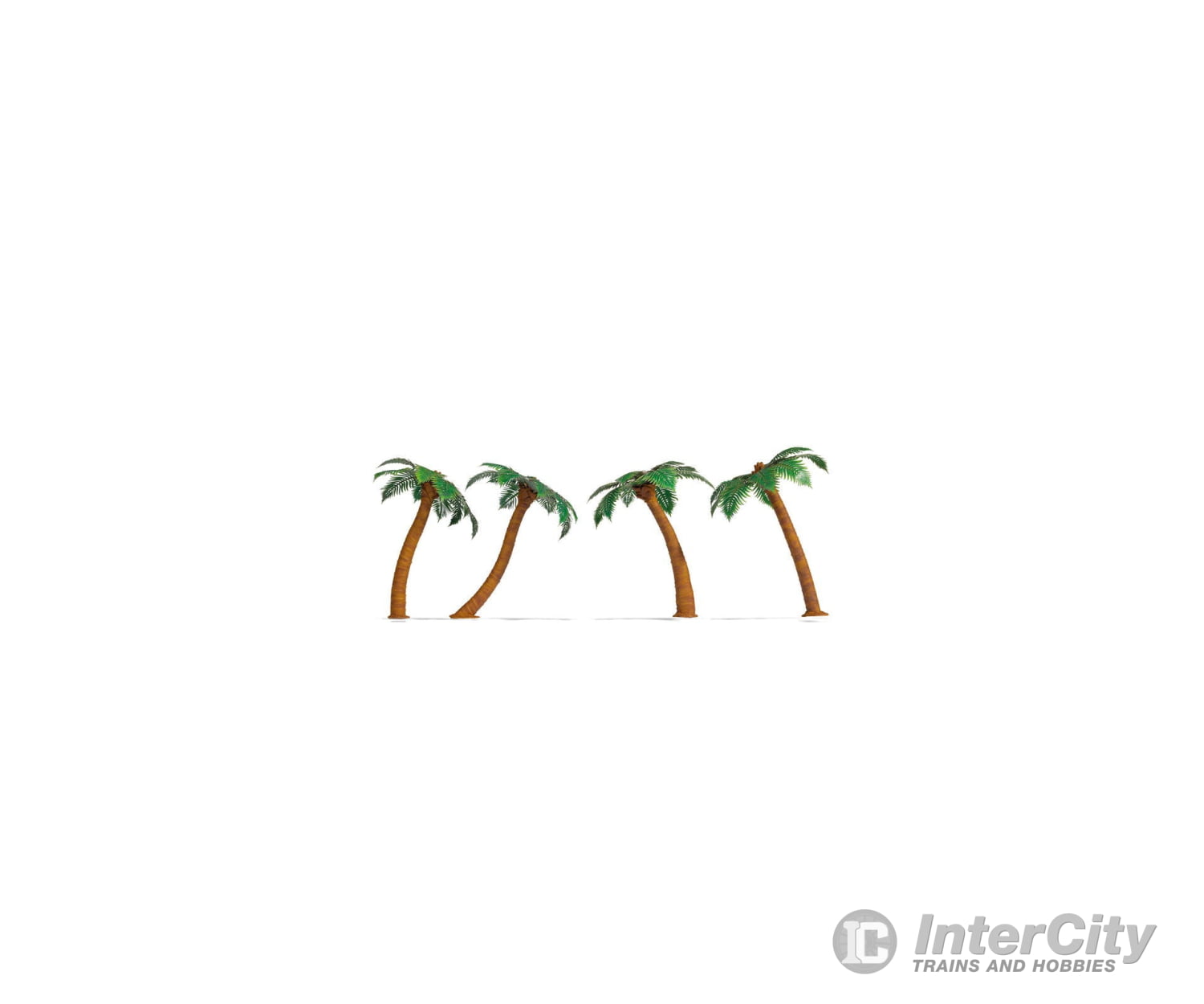 Noch 21973 HO TT N Palm Trees Trees & Vegetation