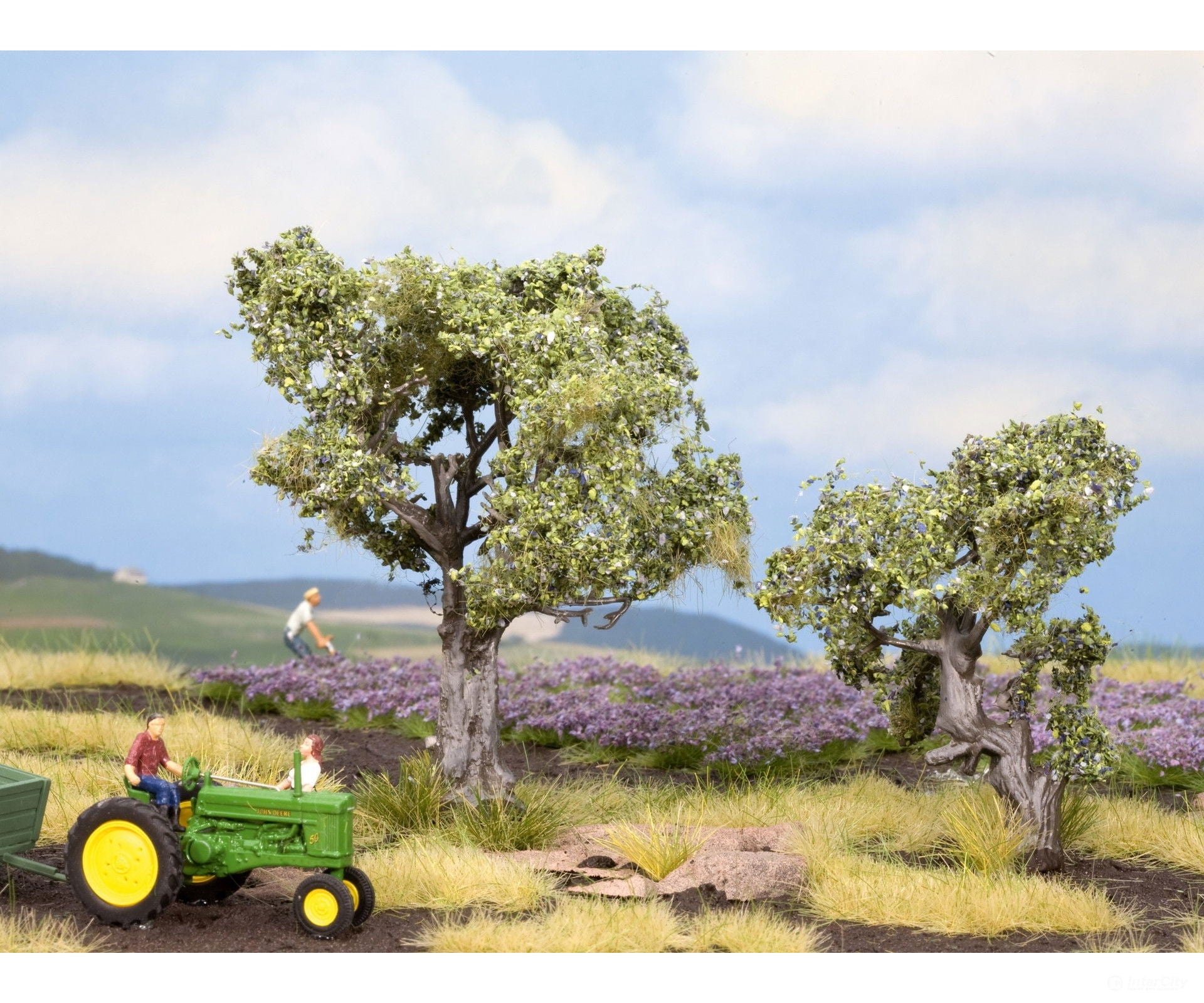Noch 21995 HO TT Olive Trees Trees & Vegetation