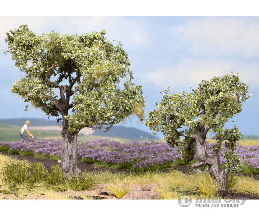 Noch 21995 HO TT Olive Trees Trees & Vegetation