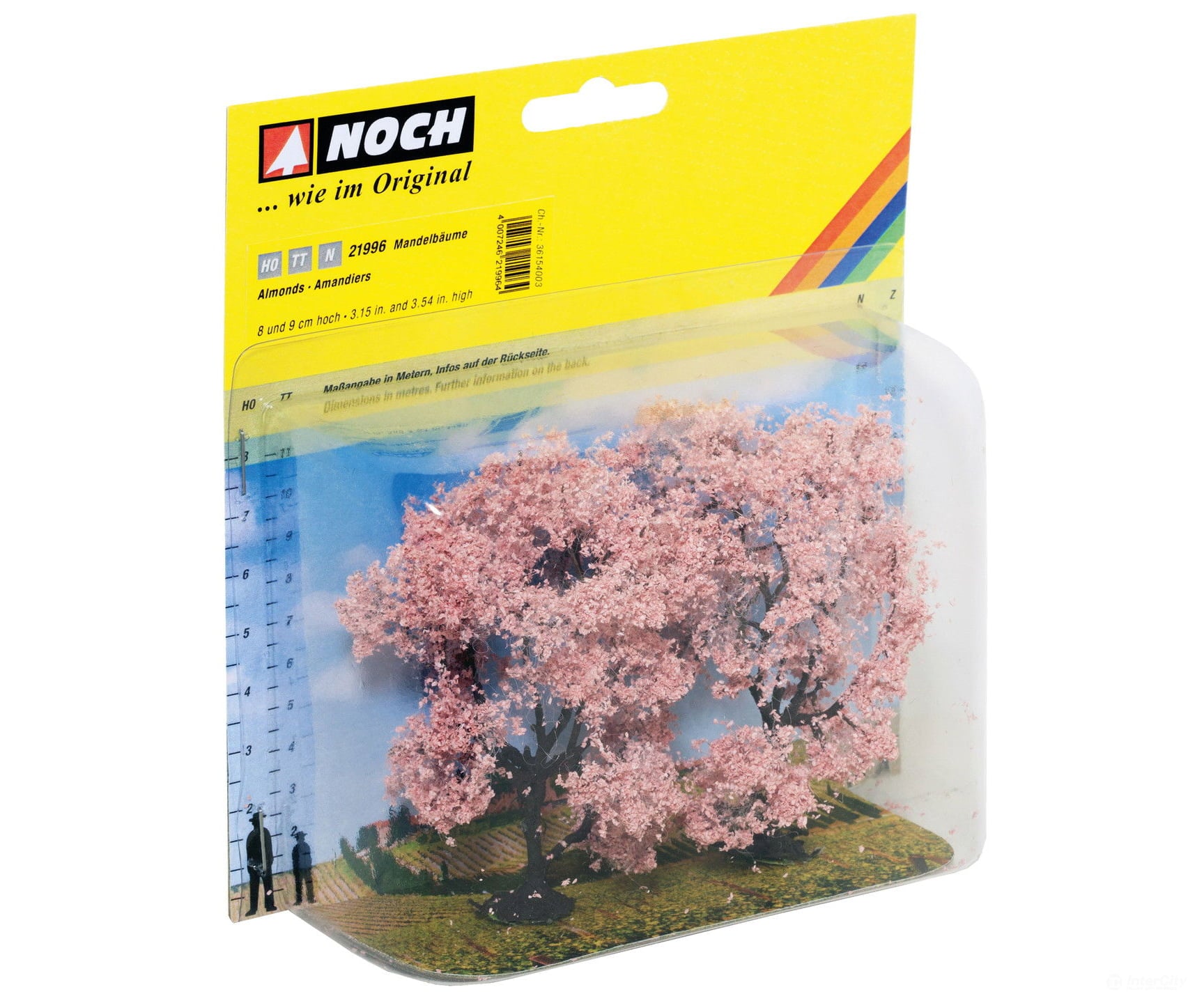 Noch 21996 HO TT N Almond Trees Trees & Vegetation