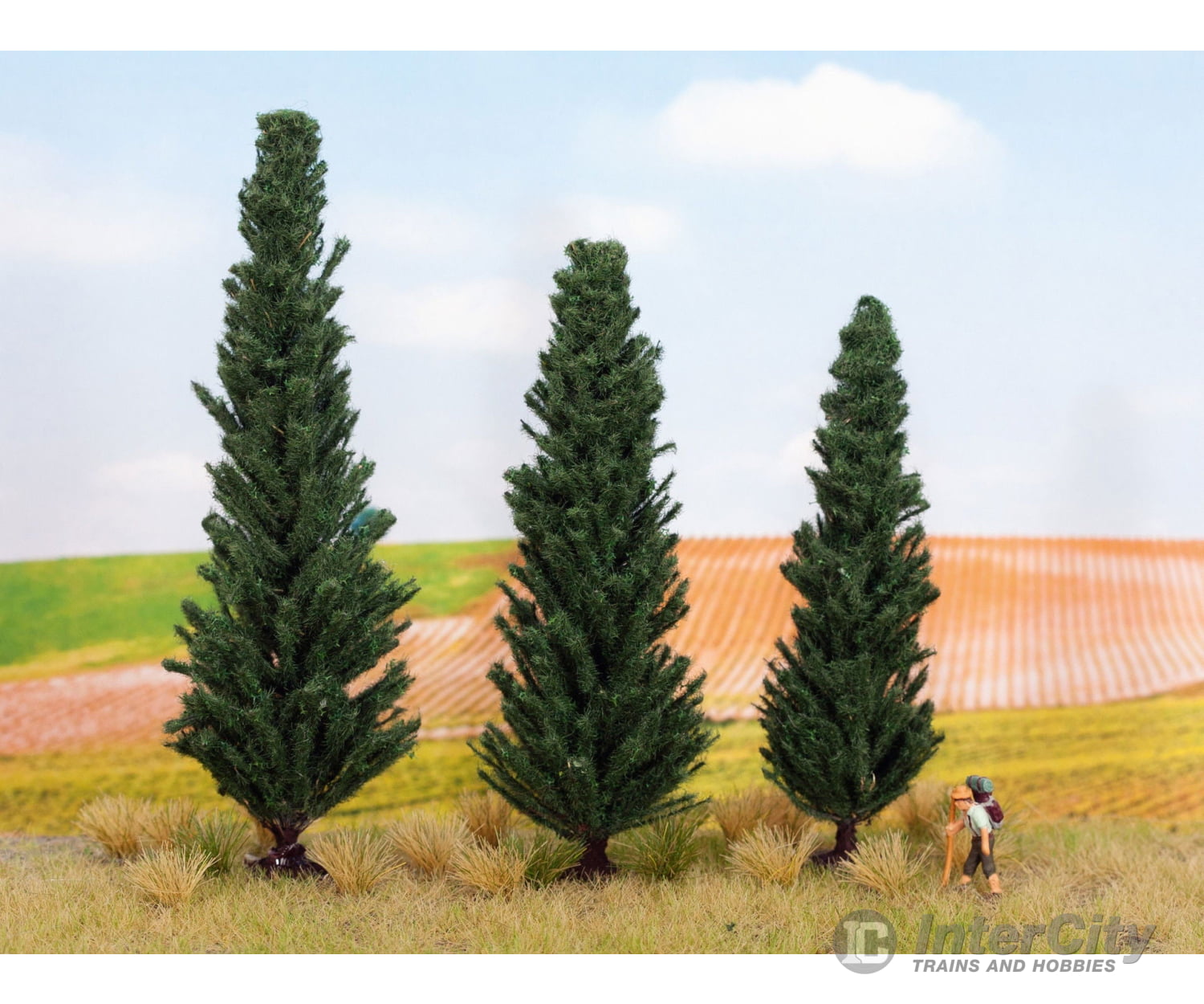 Noch 21998 HO TT N Cypress Trees Trees & Vegetation