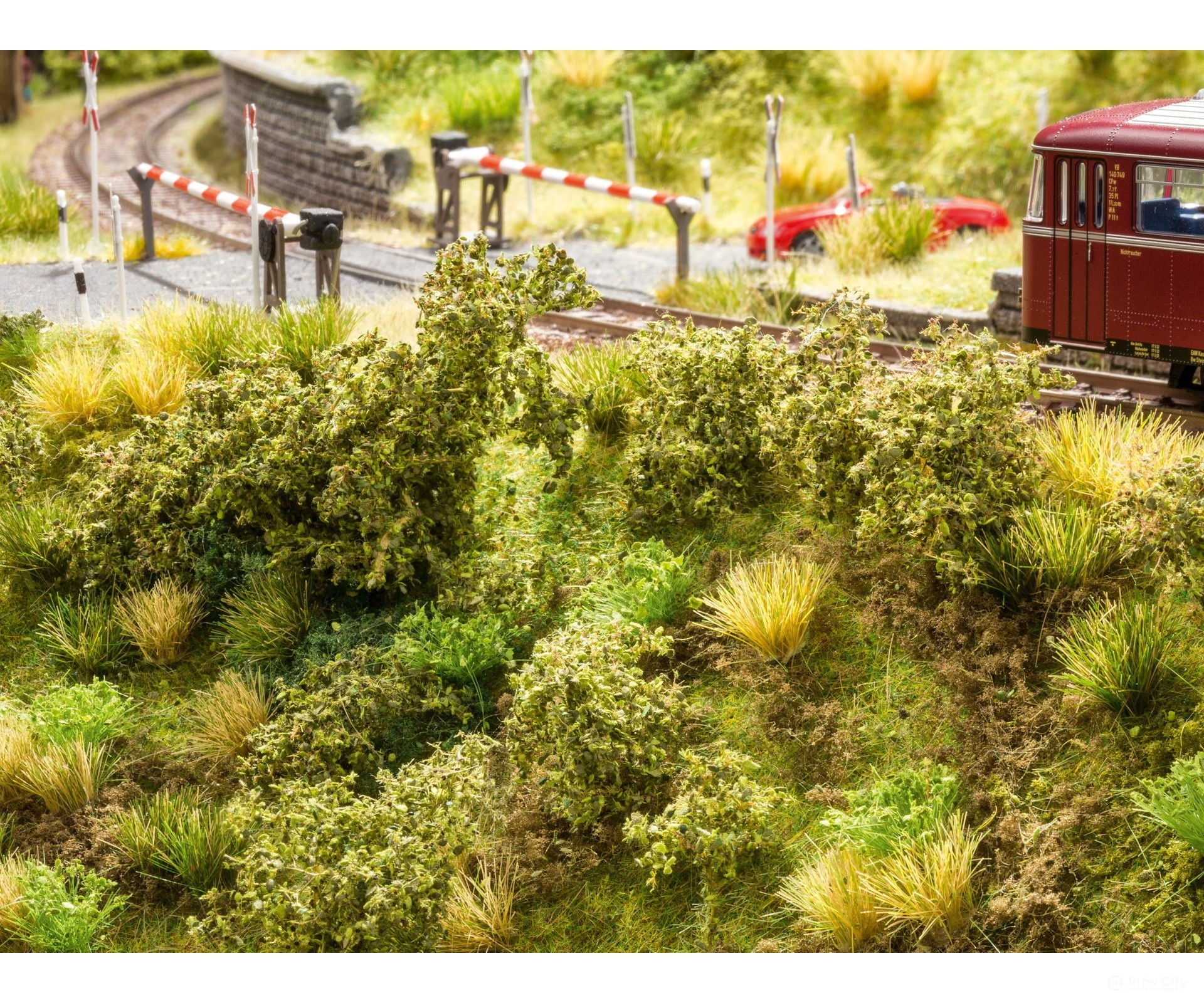 Noch 23102 Embankment Vegetation Trees & Vegetation