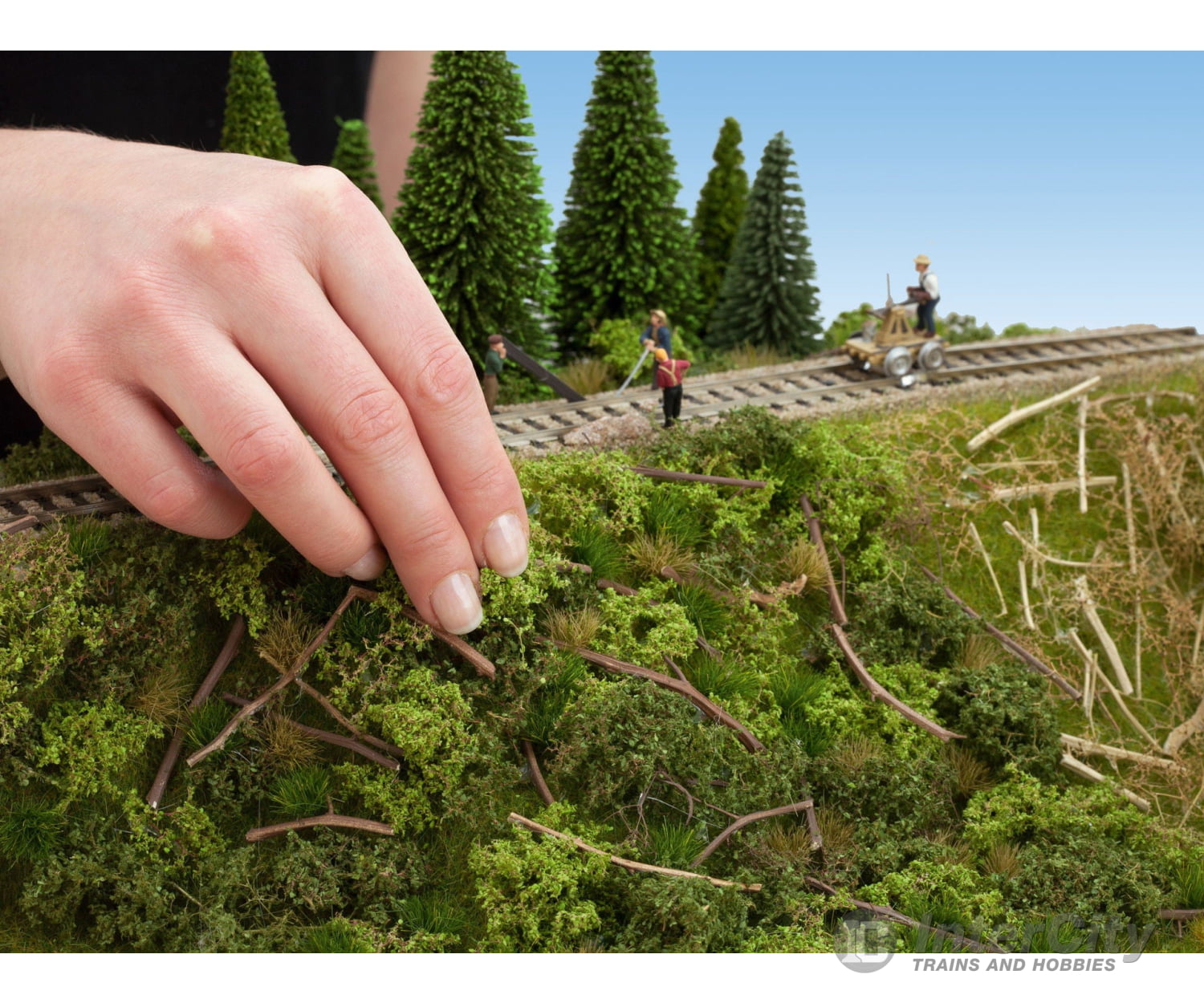 Noch 23102 Embankment Vegetation Trees & Vegetation