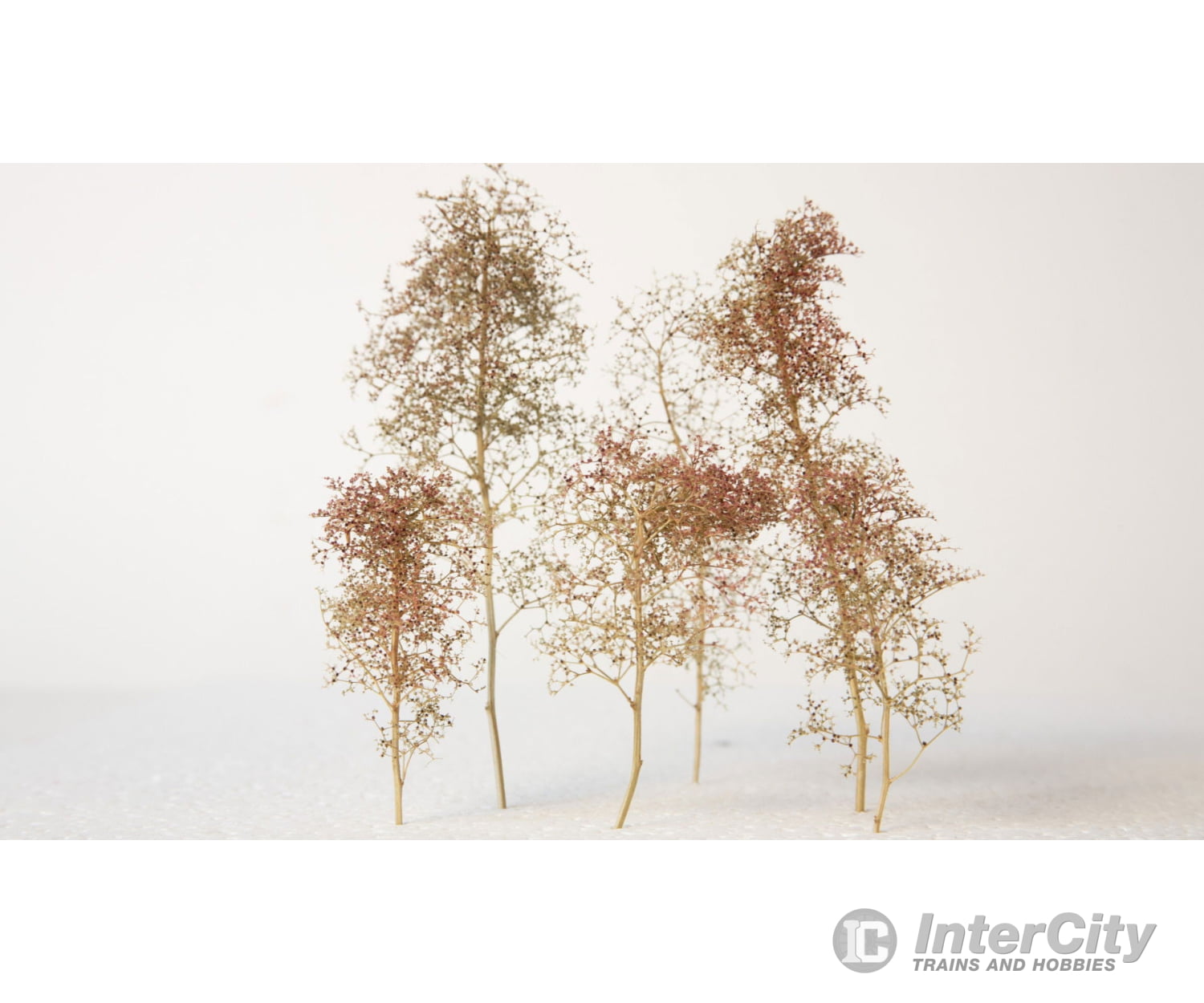 Noch 23102 Embankment Vegetation Trees & Vegetation