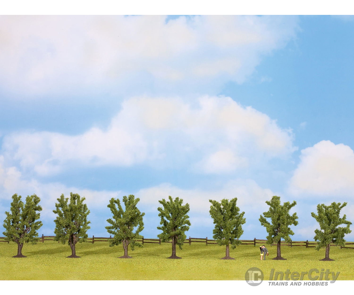 Noch 25088 HO TT N Z Deciduous Trees Trees & Vegetation