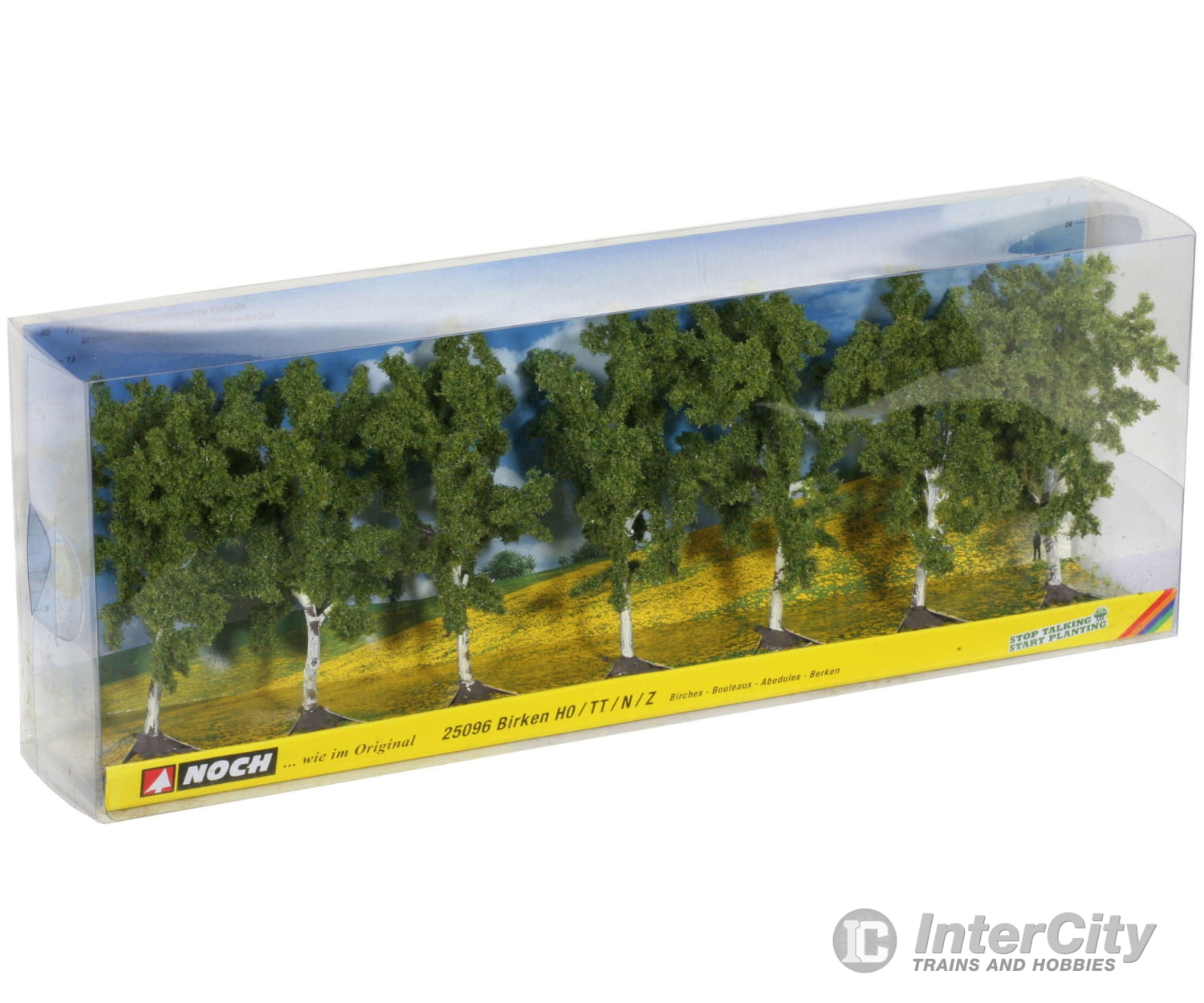Noch 25096 HO TT N Z Birch Trees Trees & Vegetation