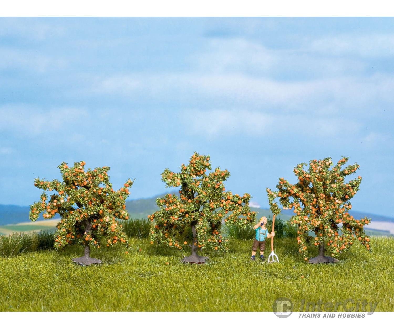 Noch 25114 HO TT N Orange Trees Trees & Vegetation