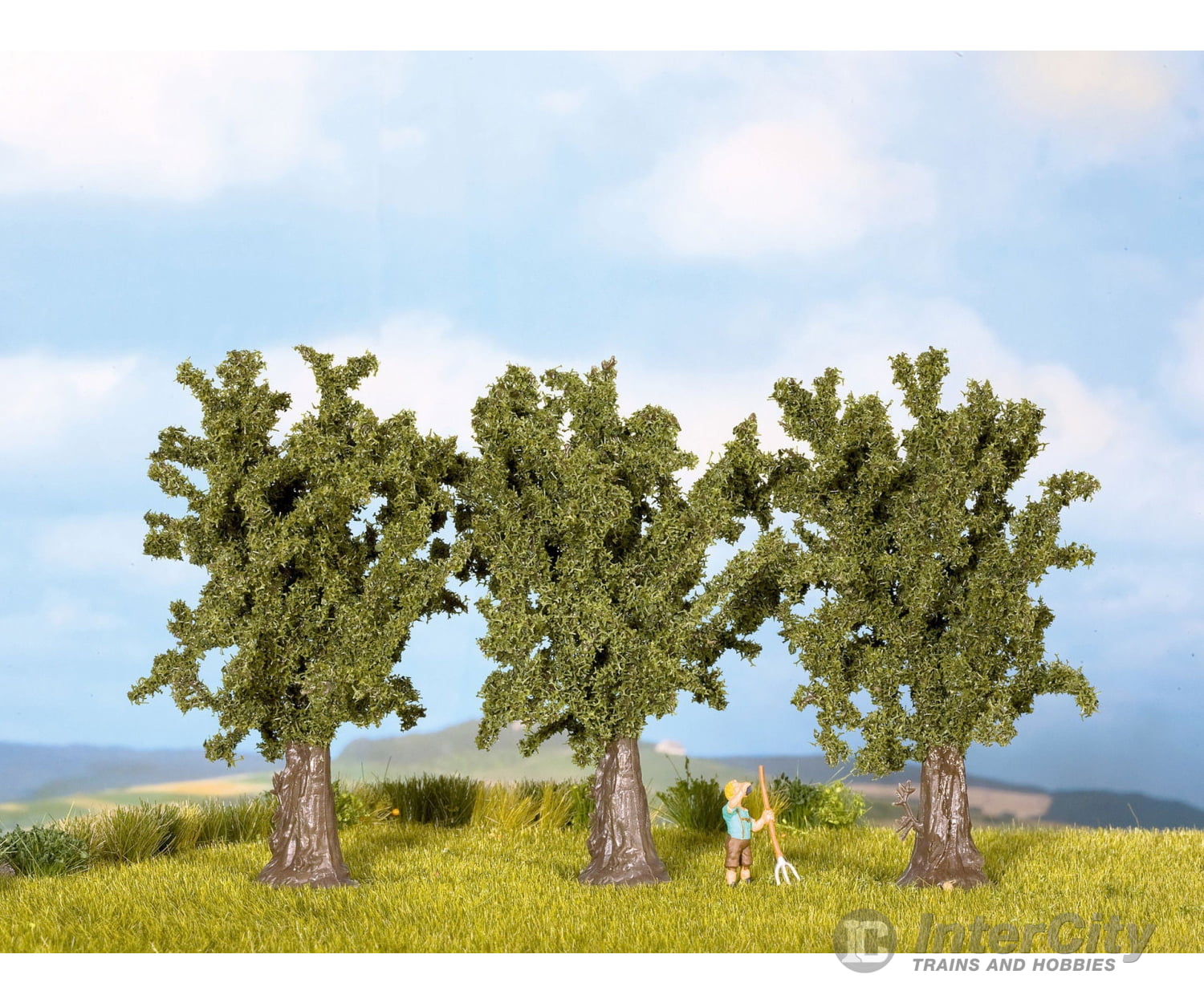 Noch 25150 HO TT Sycamore Trees Trees & Vegetation