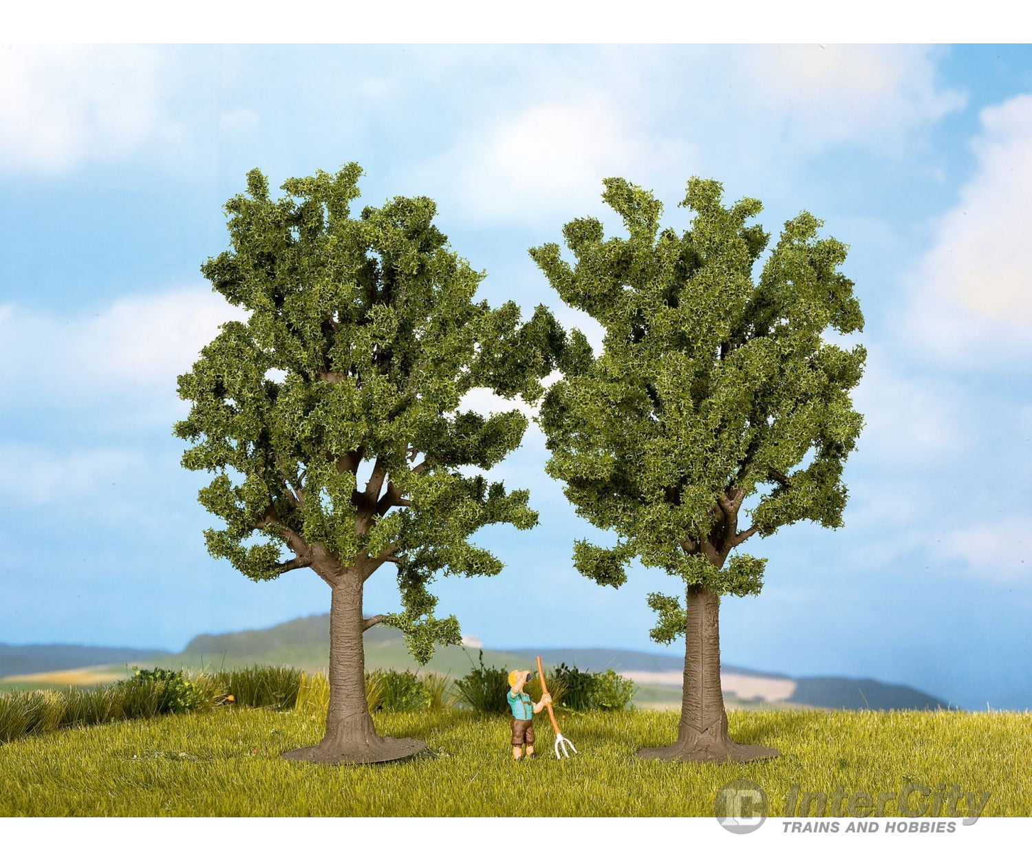 Noch 25170 HO TT Beech Trees Trees & Vegetation