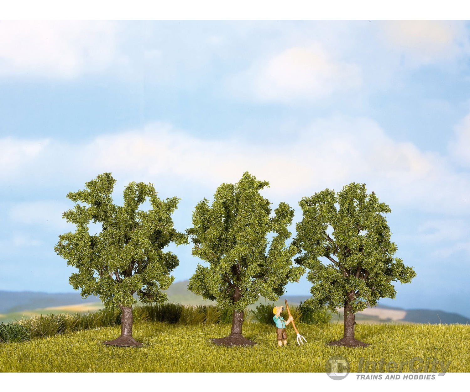 Noch 25510 N Z Fruit Trees Trees & Vegetation