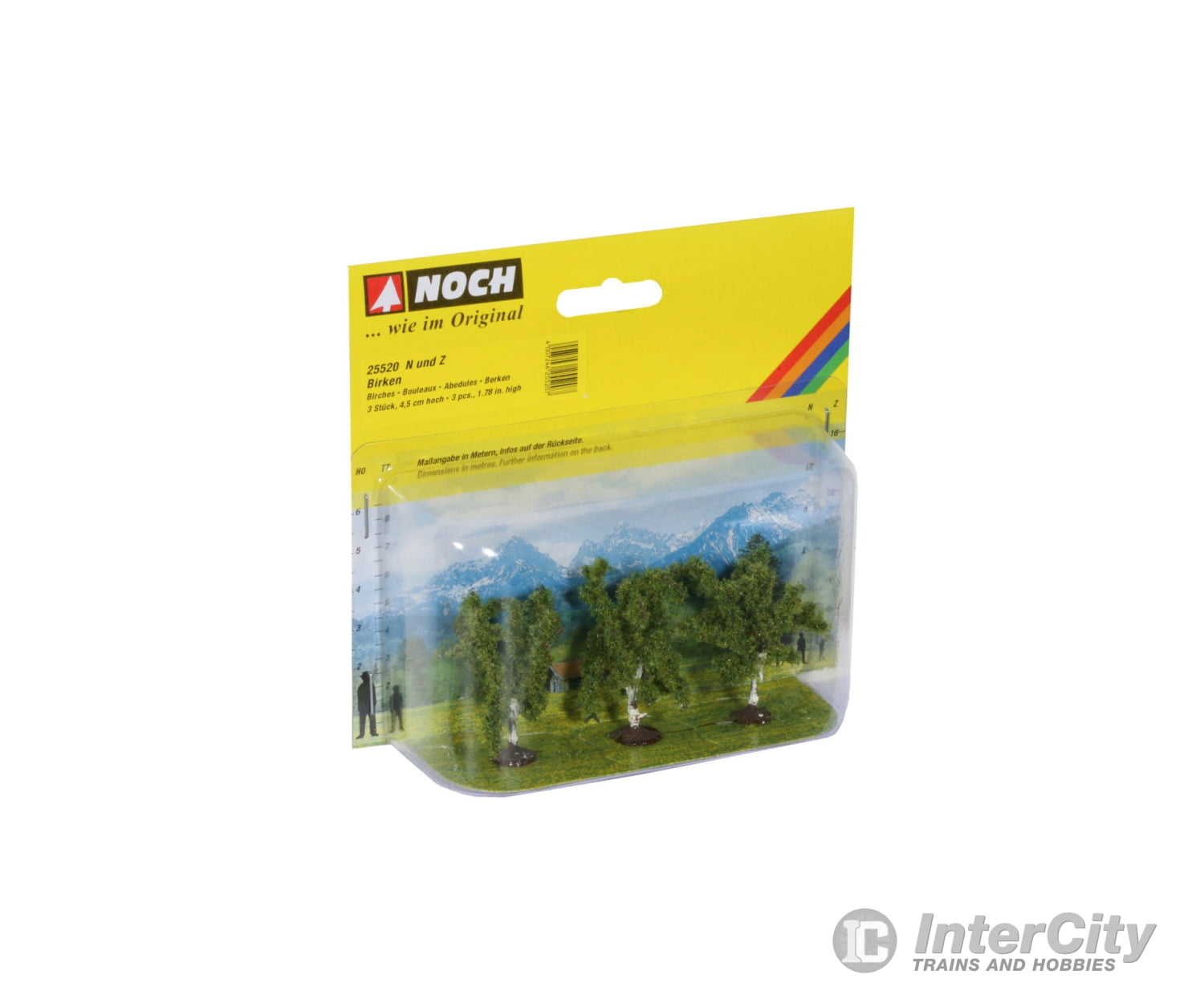 Noch 25520 N Z Birch Trees Trees & Vegetation