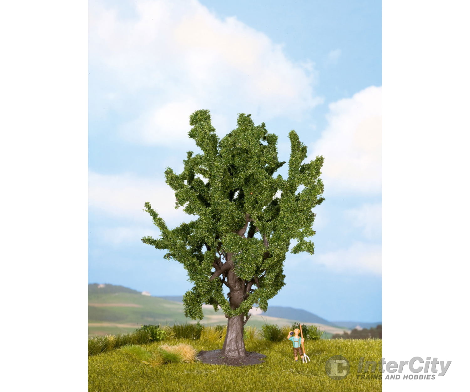 Noch 25860 HO TT N O Oak Tree Trees & Vegetation